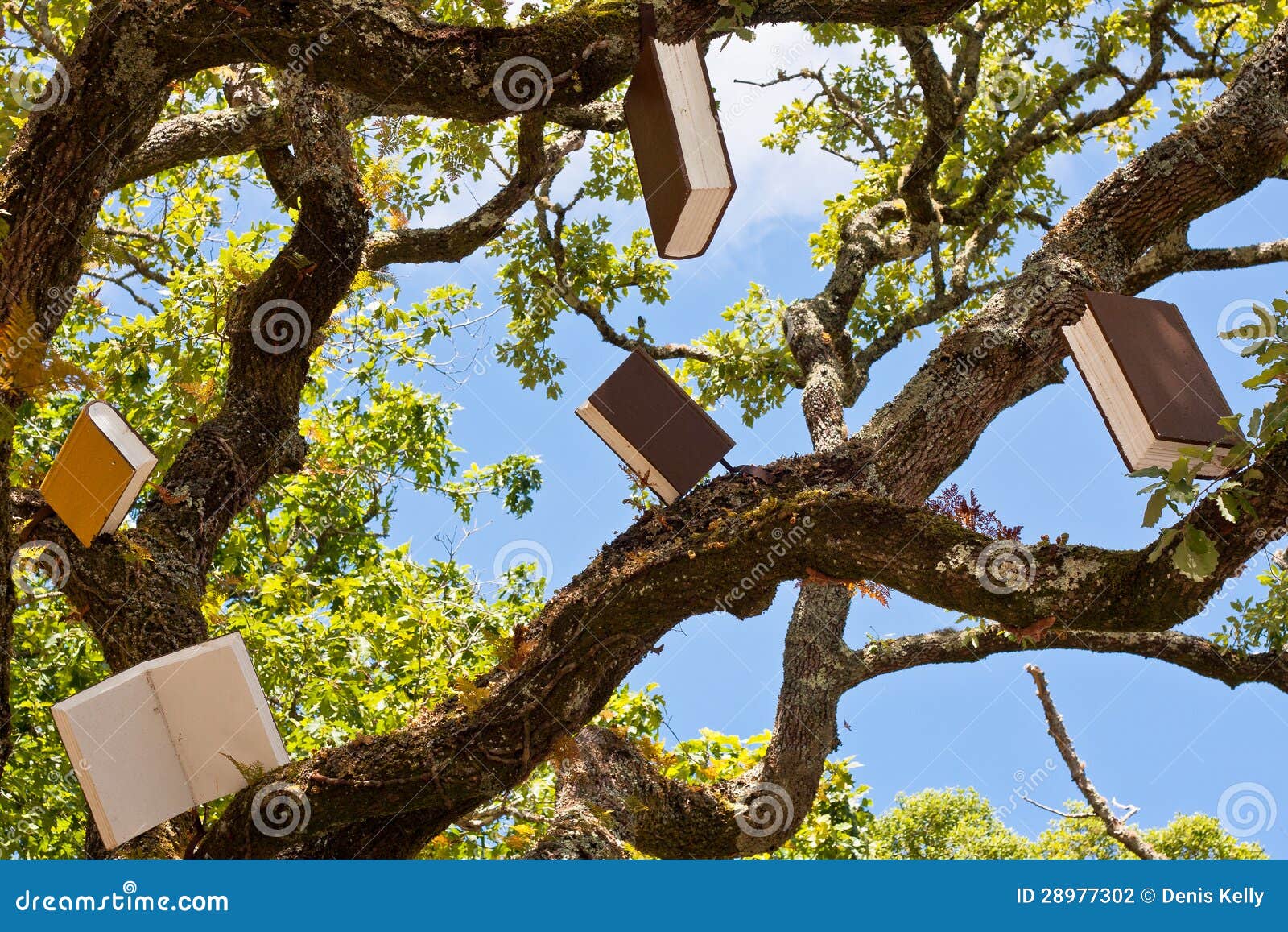 tree of books learning and knowledge