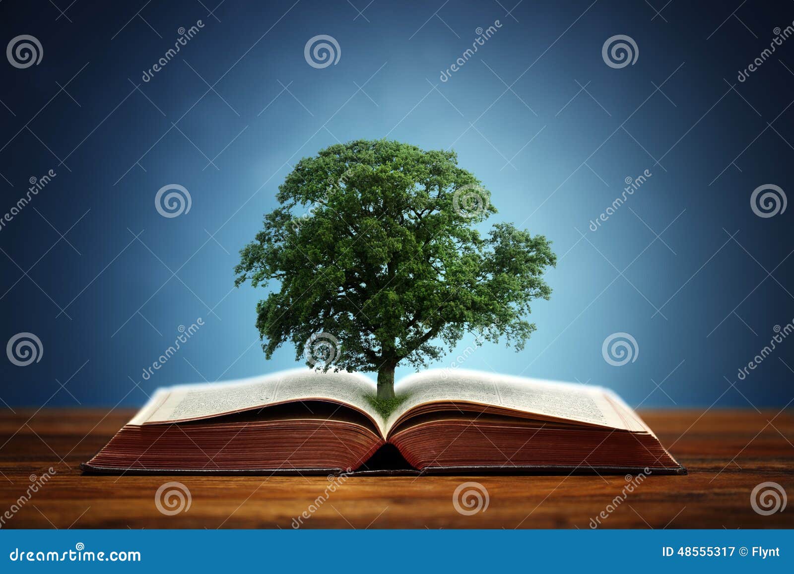 tree of knowledge