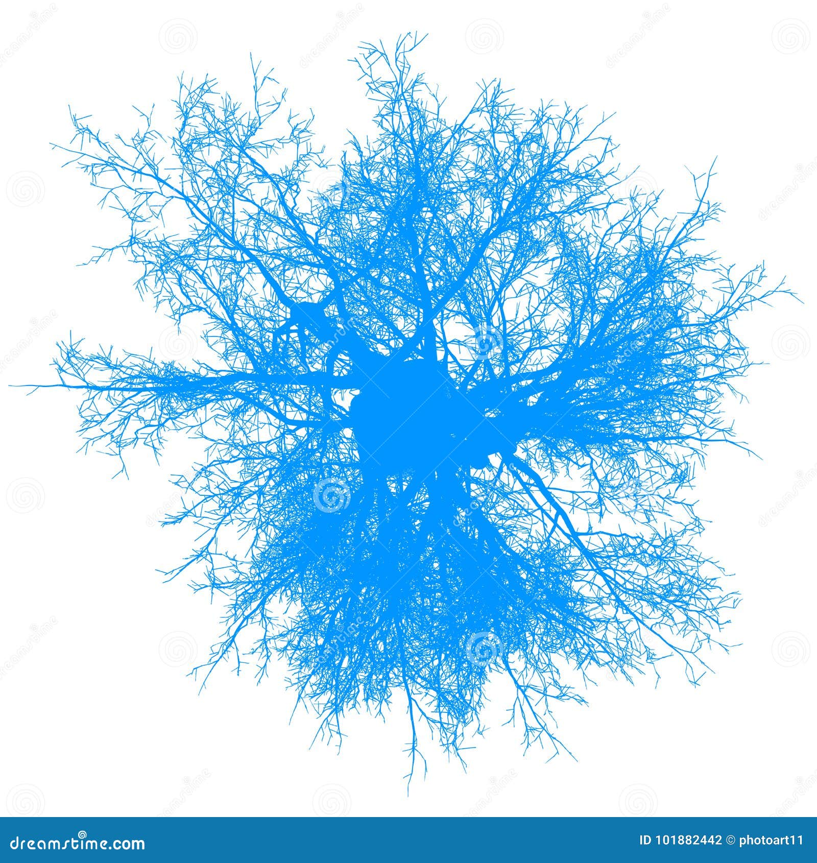 Tree Leafless Top View Silhouette Isolated - Blue - Vector Stock Vector