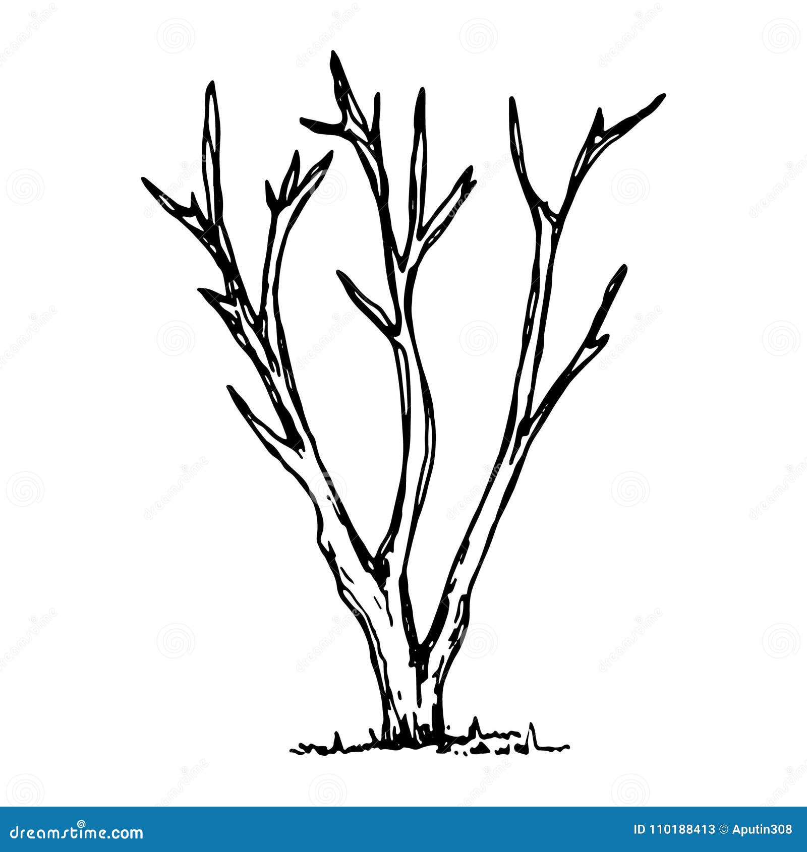 Tree Sketch without root leaves on paper Stock Photo - Alamy