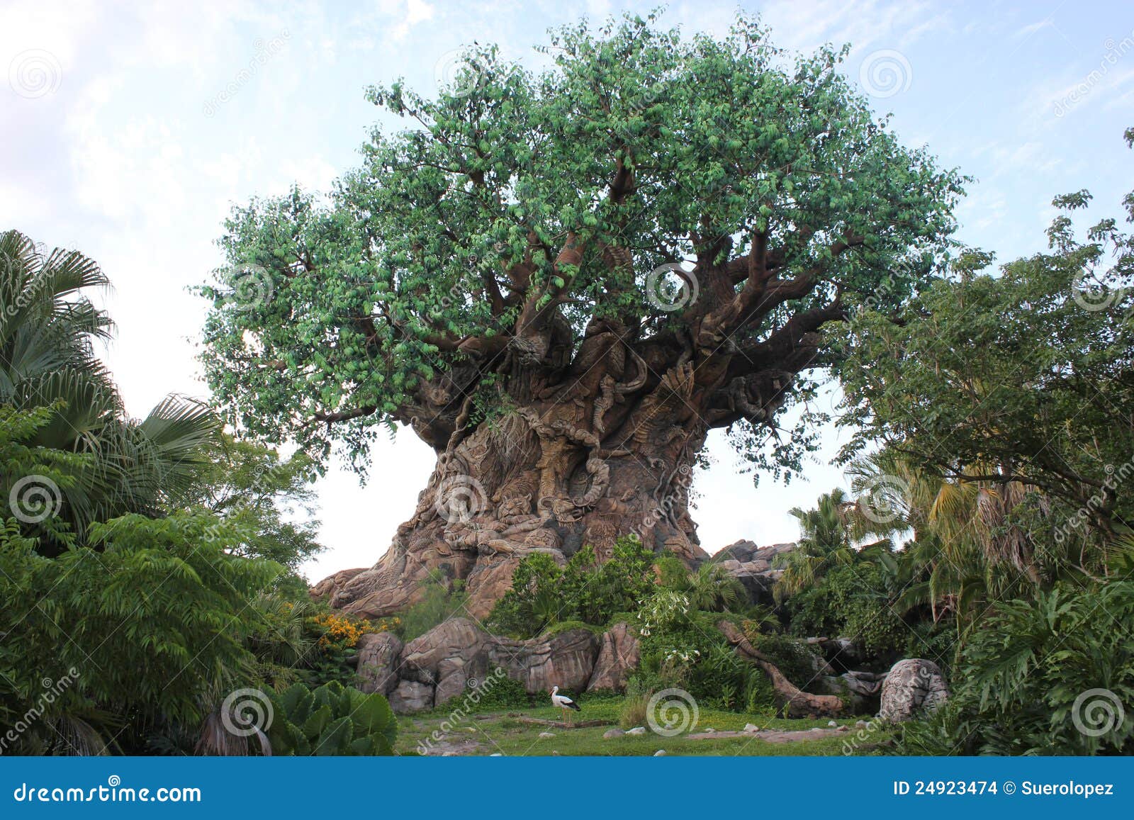 Download Tree Of Life With Carved Trunk In The Disneyworld ...