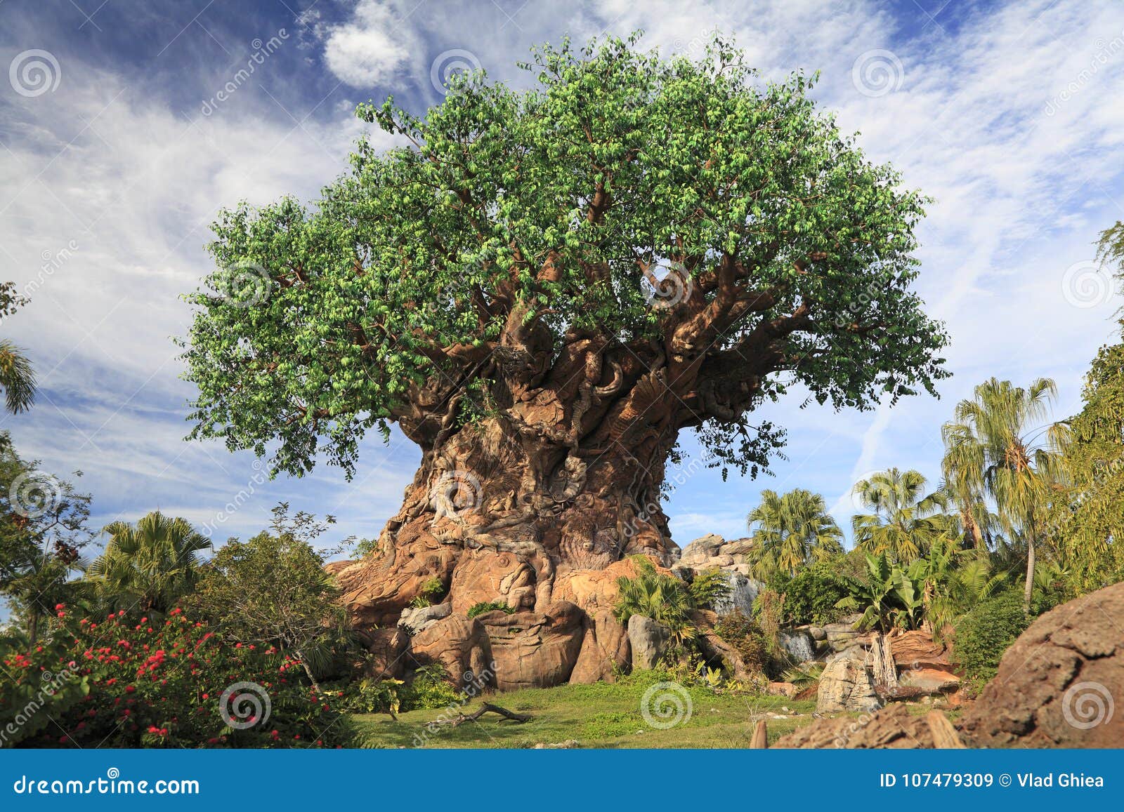 Download Tree Of Life In Disney Animal Kingdom Theme Park, Orlando ...