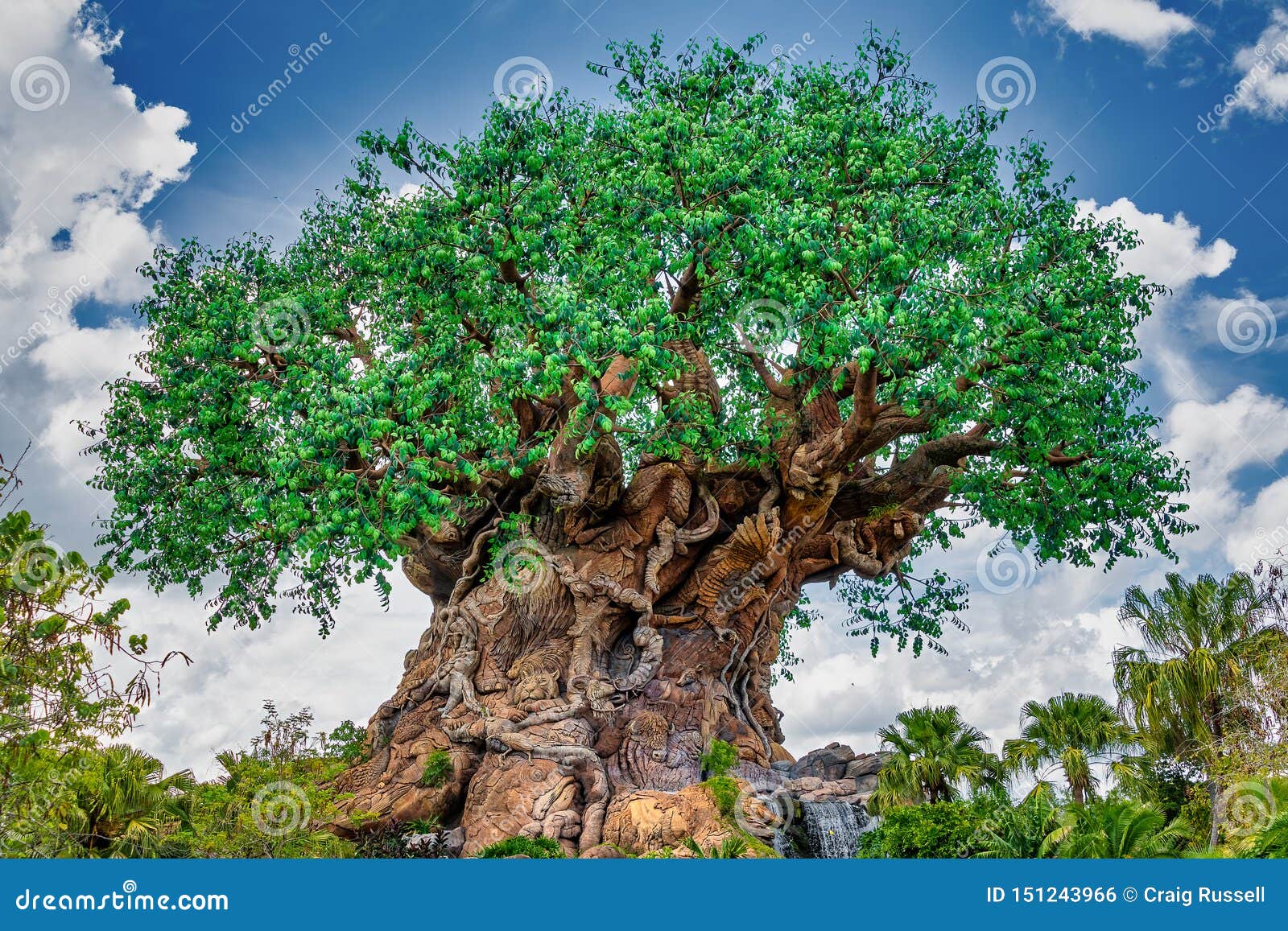 The Tree of Life at Disney S Animal Kingdom Editorial Photo - Image of disney, background: 151243966 The Tree of Life at Disney S Animal Kingdom Editorial Photo - Image of disney, background: 151243966