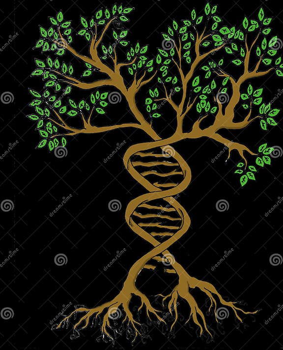 Tree of life stock illustration. Illustration of medical - 146523164