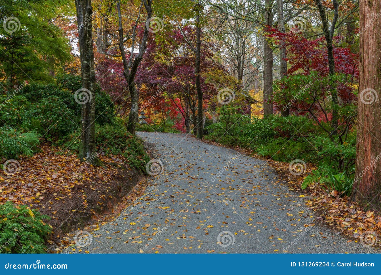 A Colorful Leaf Strewn Path Through The Japanese Garden In The