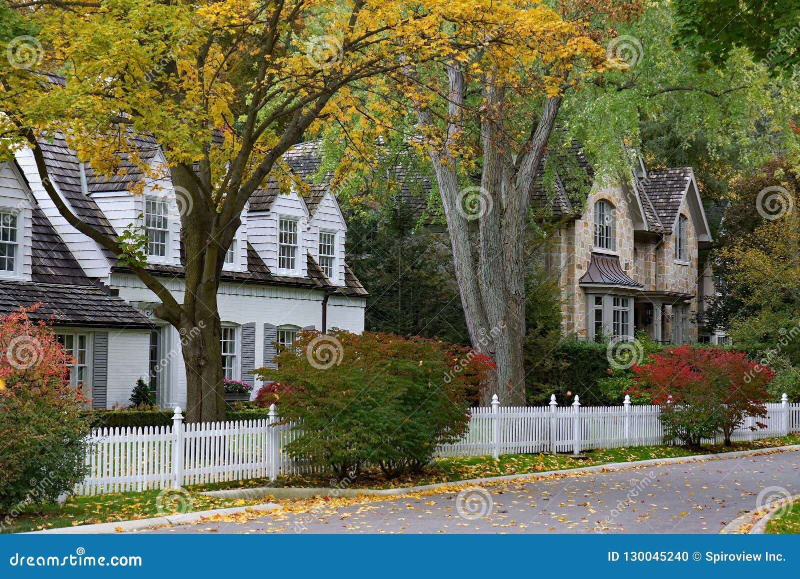 Tree Lined Residential Street Stock Photo Image of residential, color