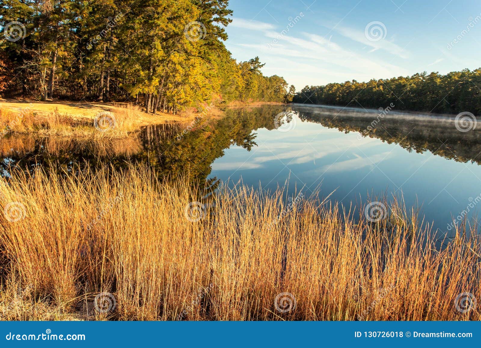 The Tree Lined River Stock Photo Image Of Smell Yellow 130726018