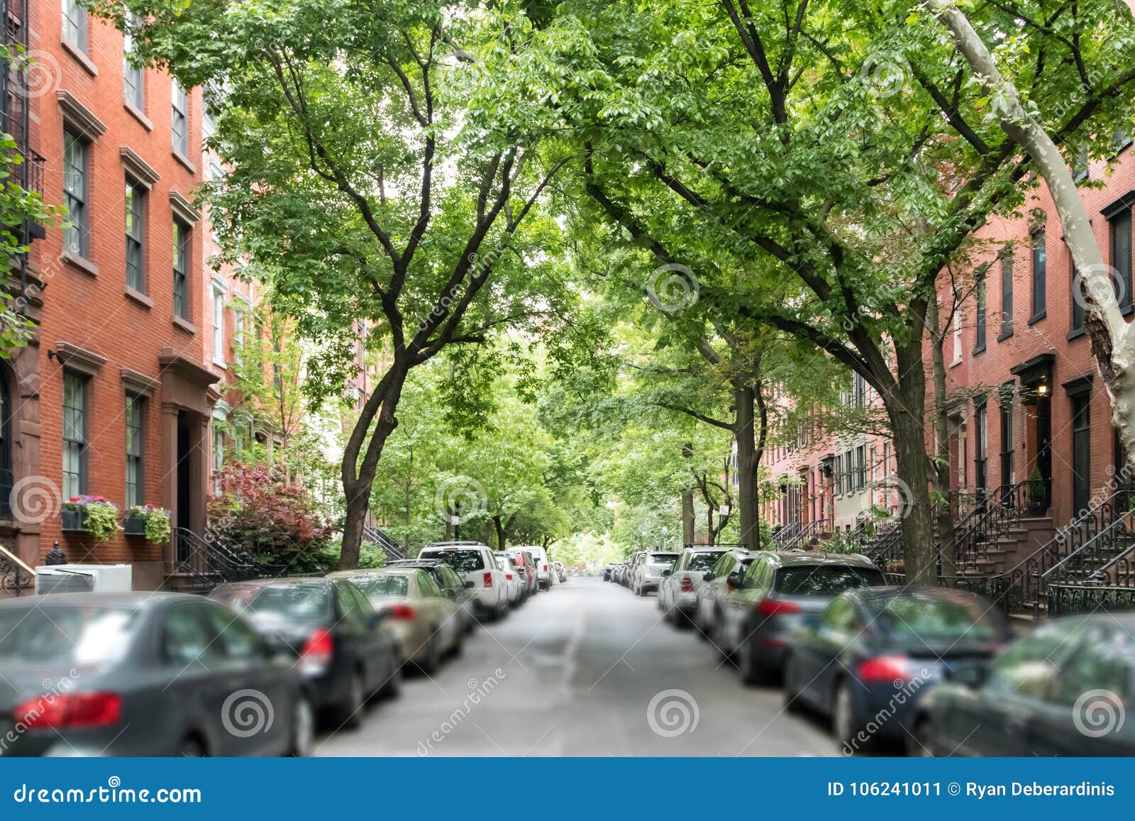 tree lined street of historic brownstone buildings in a greenwich village neighborhood in manhattan new york city nyc