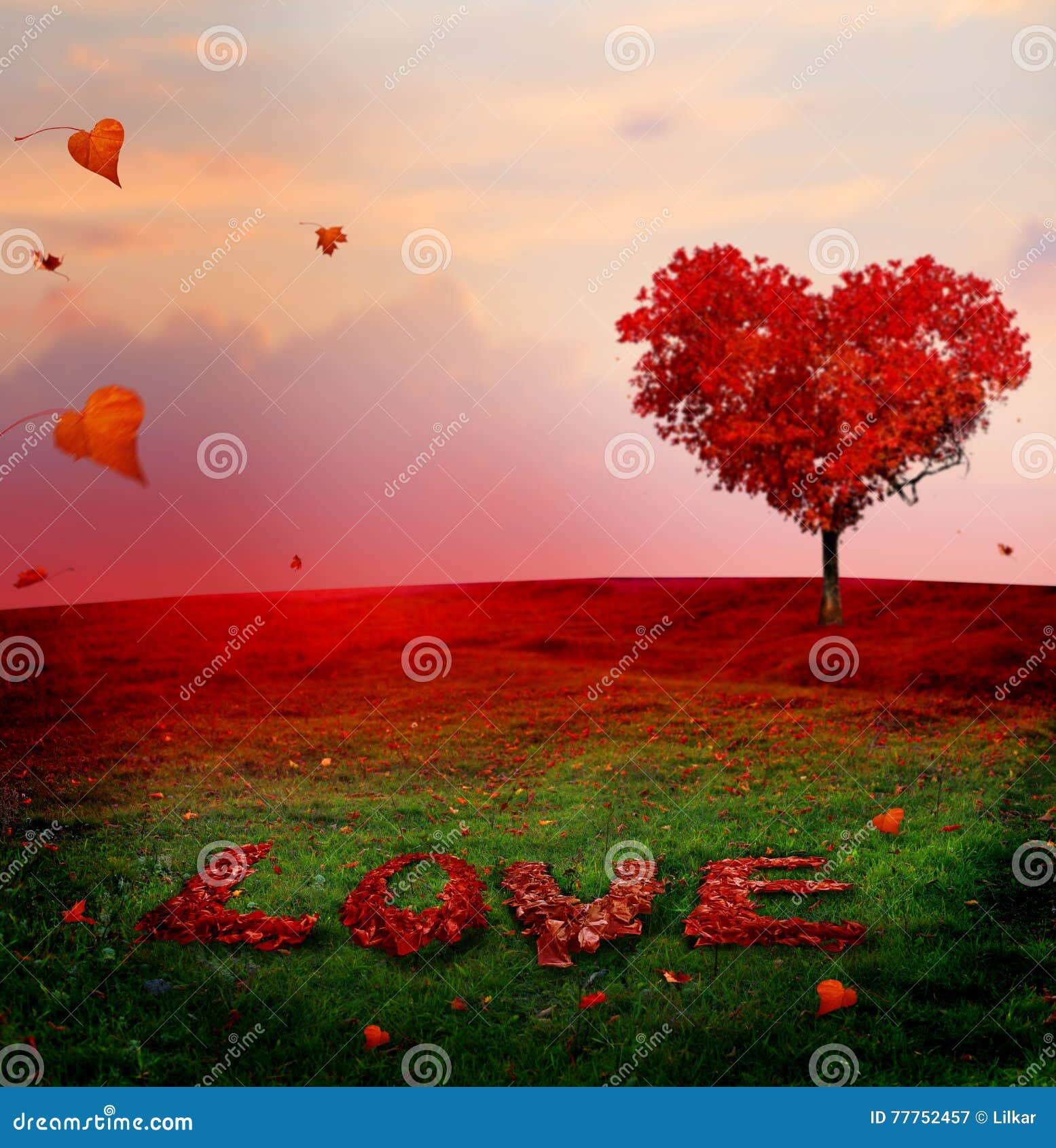 My Image 7