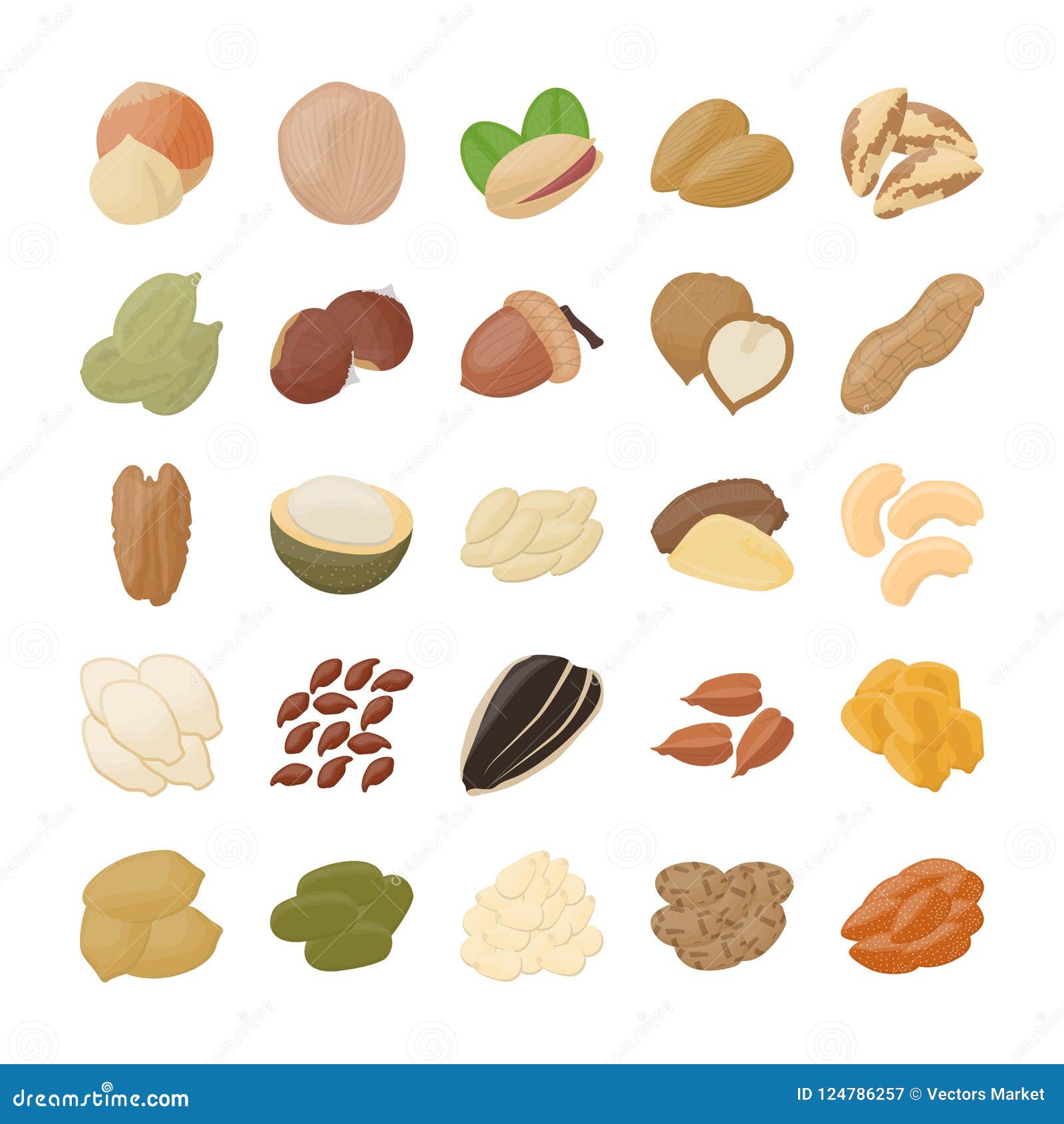 Tree nut fruit seeds