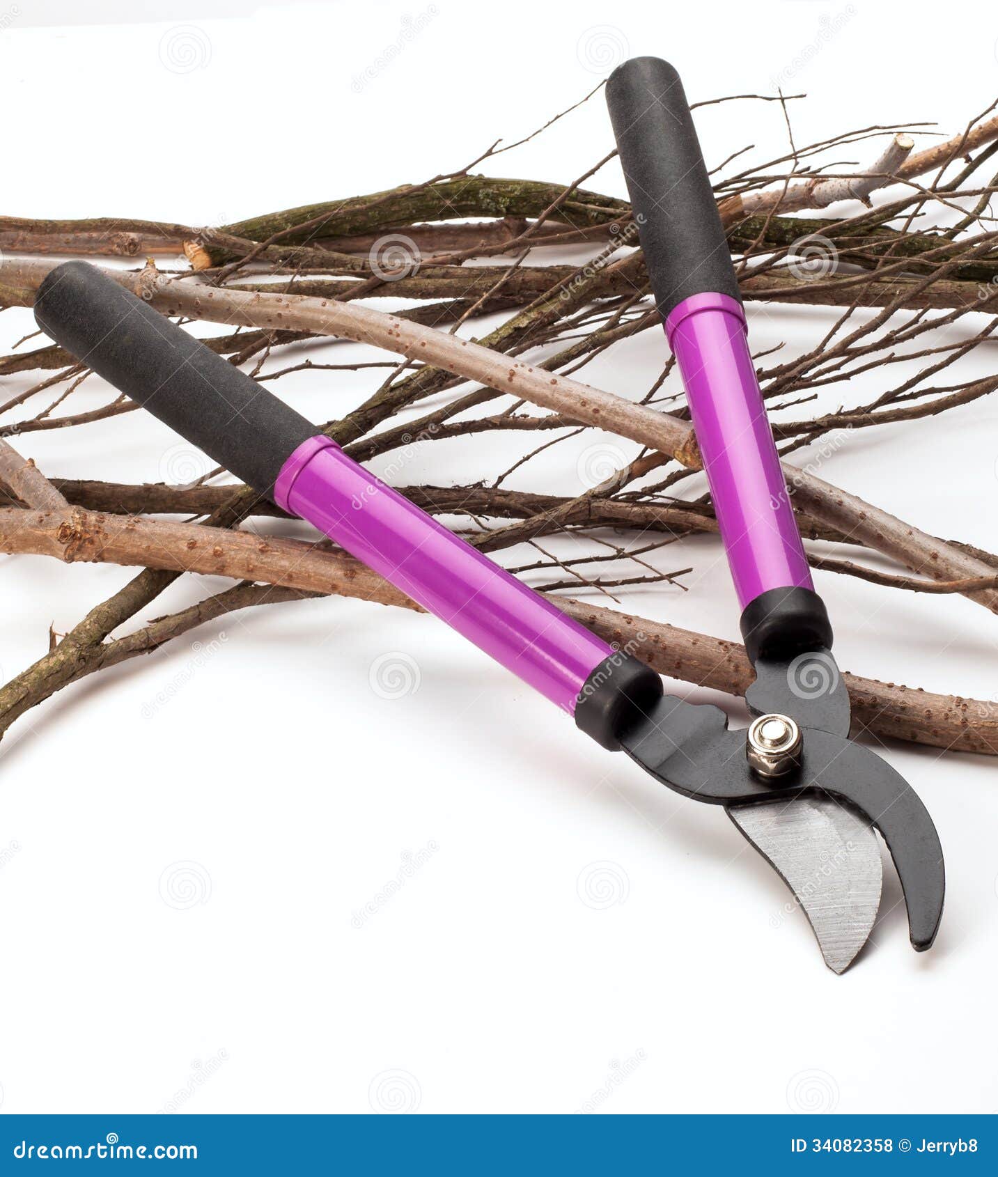 Tree Pruning Tools stock photo. Image of product, pruning 34082358