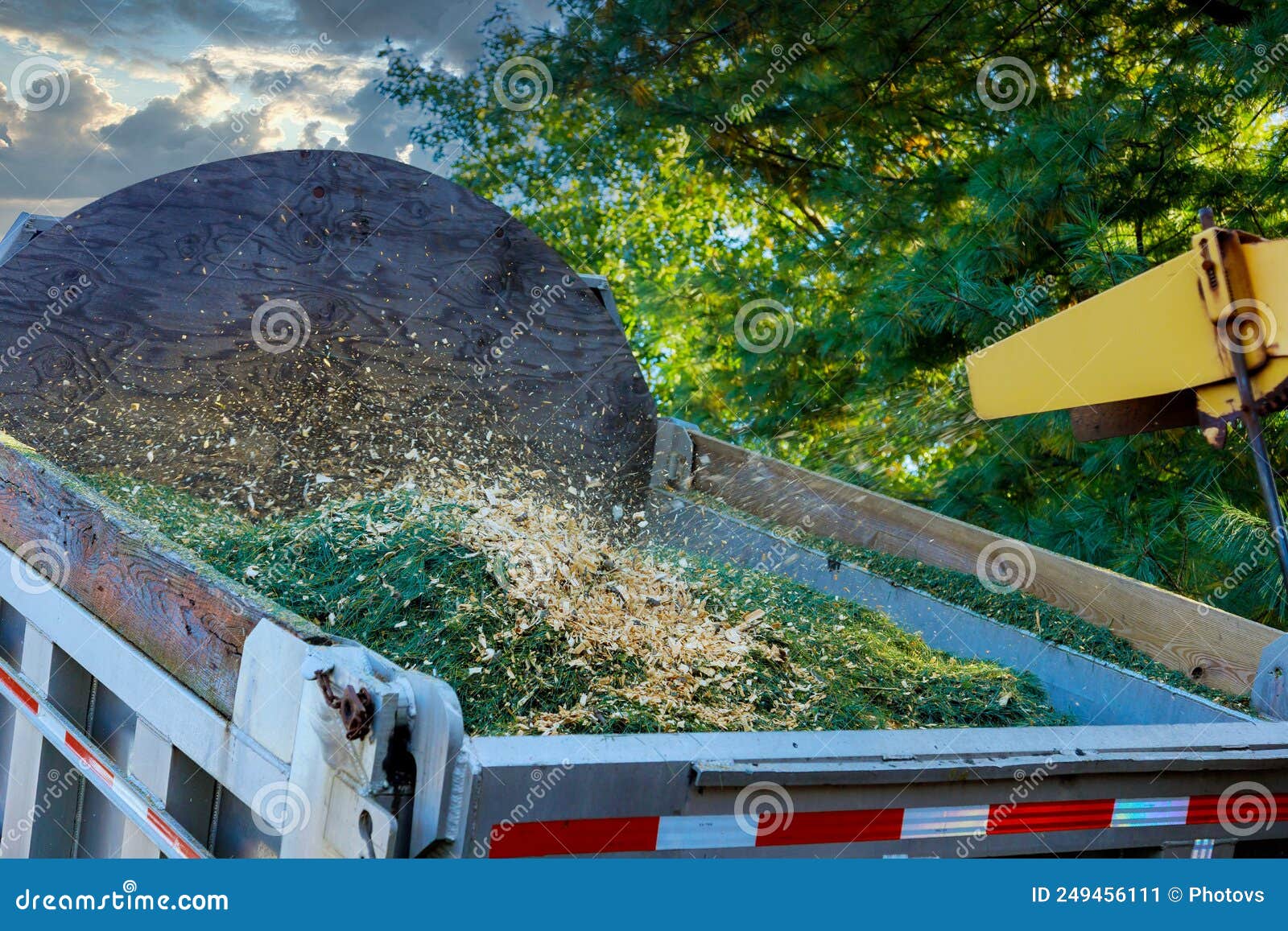 Tree Removing Service Trucks Chipper at Work for Tree Branches Stock