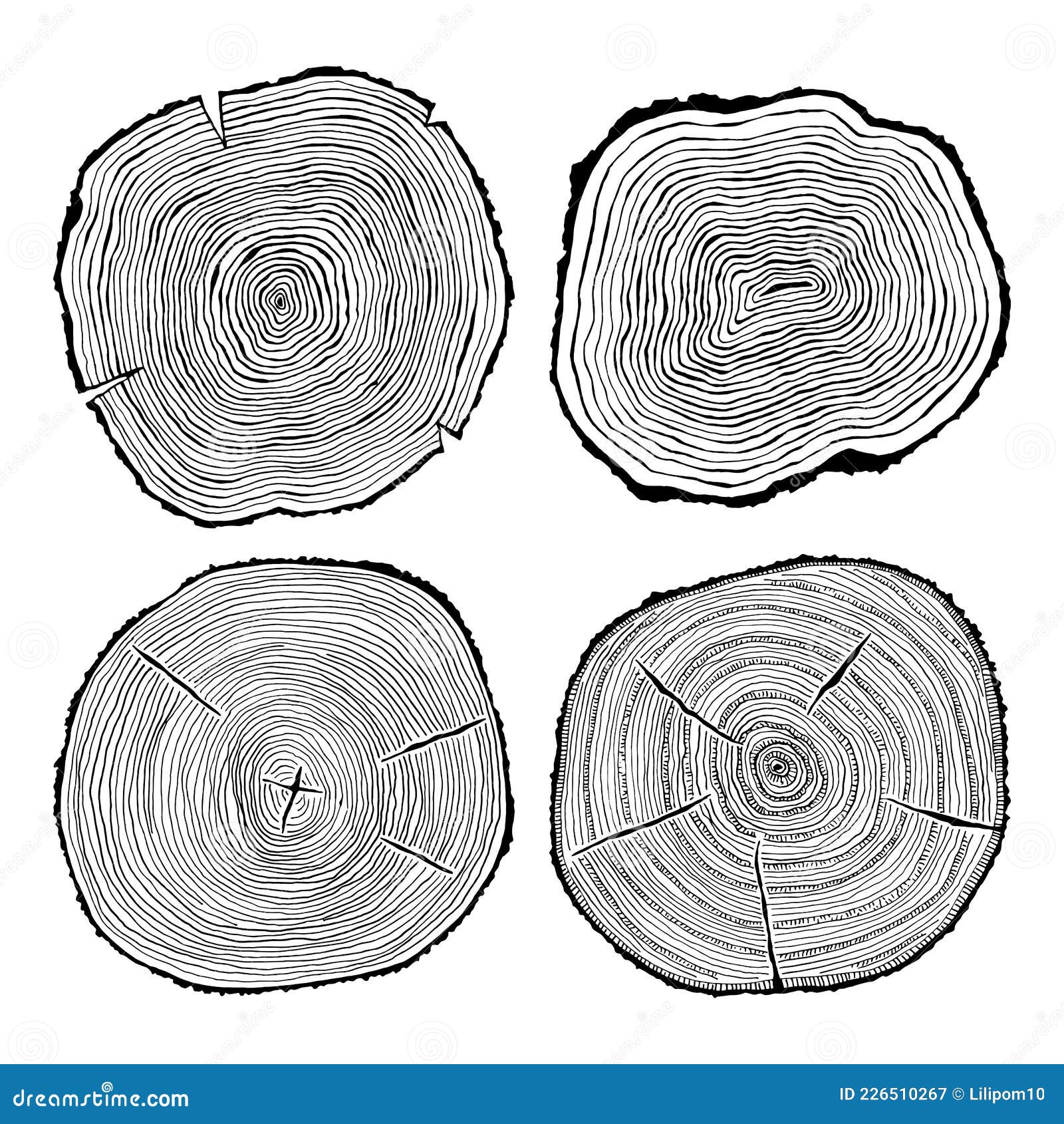 Tree Rings. Black and White Illustrations Isolated Stock Vector ...