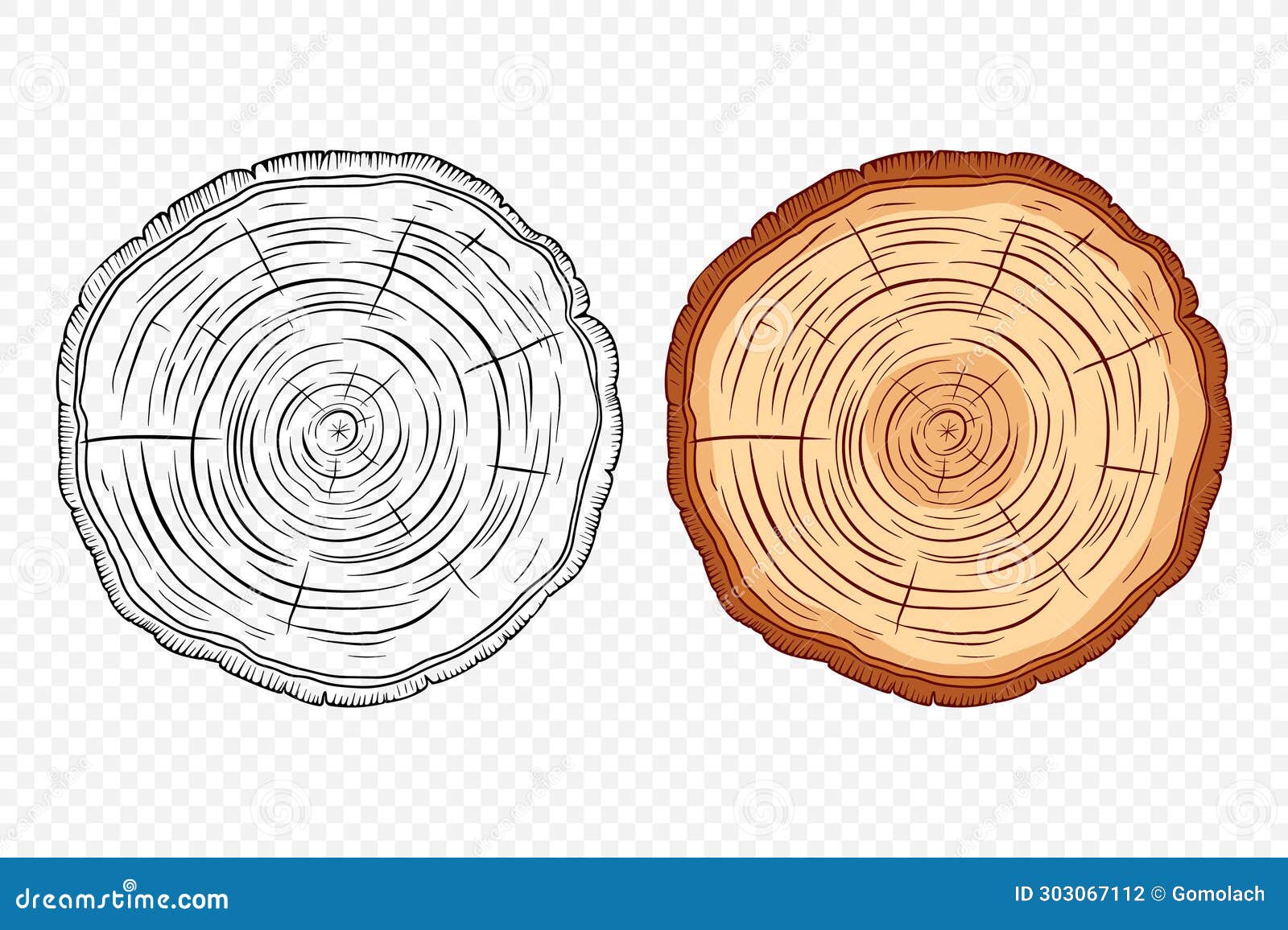 Forests | Free Full-Text | How Cultural Heritage Studies Based on  Dendrochronology Can Be Improved through Two-Way Communication