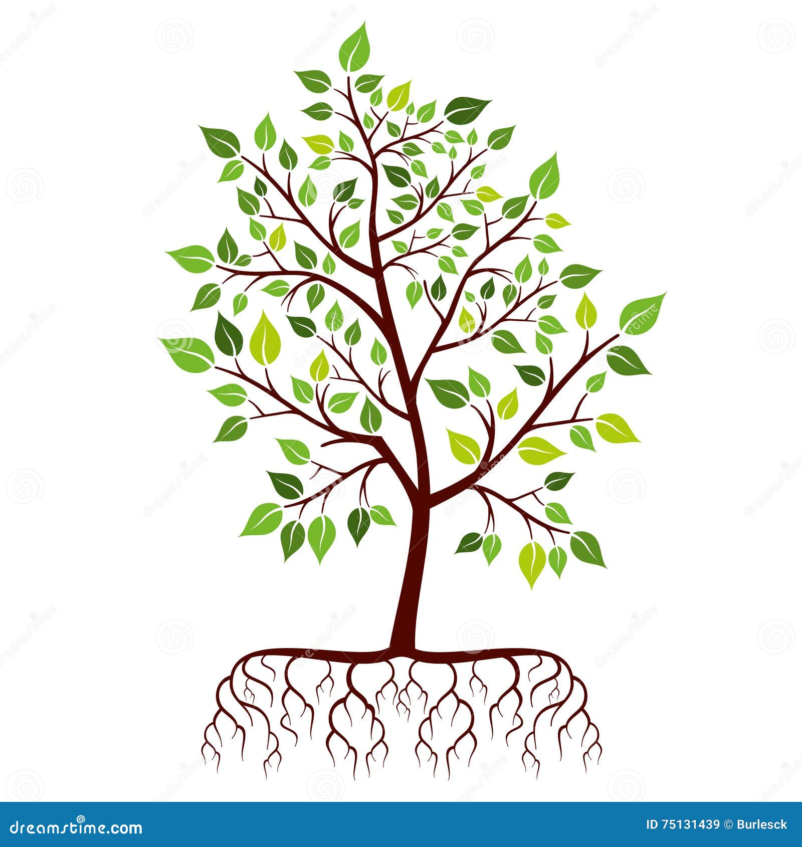 Tree With Roots And Green Leaves Stock Vector ...