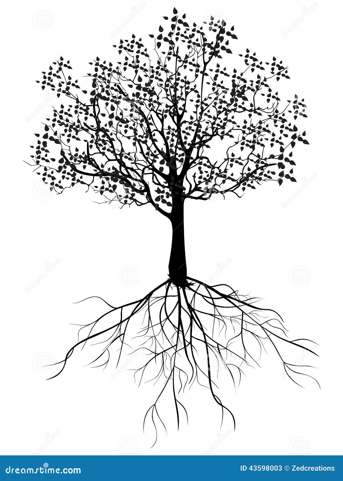 Tree With Roots Stock Illustration - Image: 43598003