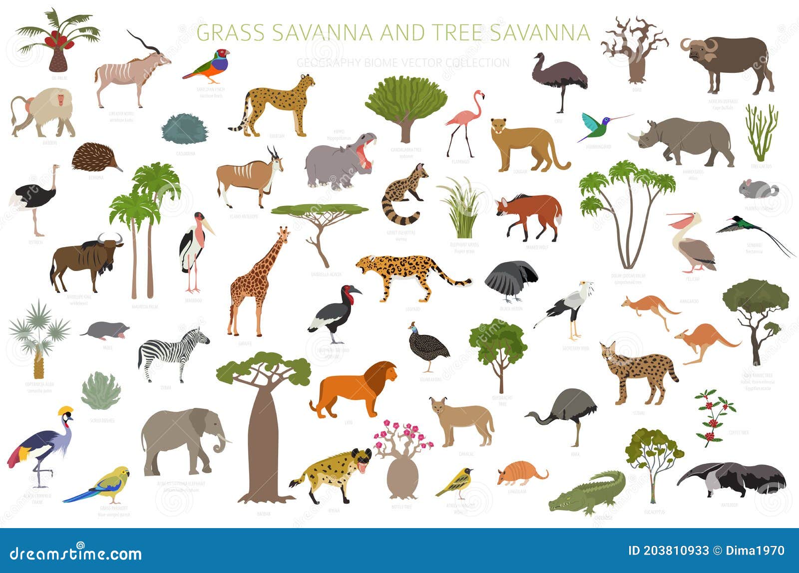 Tree Savanna and Grass Savanna Biome, Natural Region Infographic. Woodland  and Grassland Savannah, Prarie, Pampa Stock Vector - Illustration of area,  candelabra: 203810933