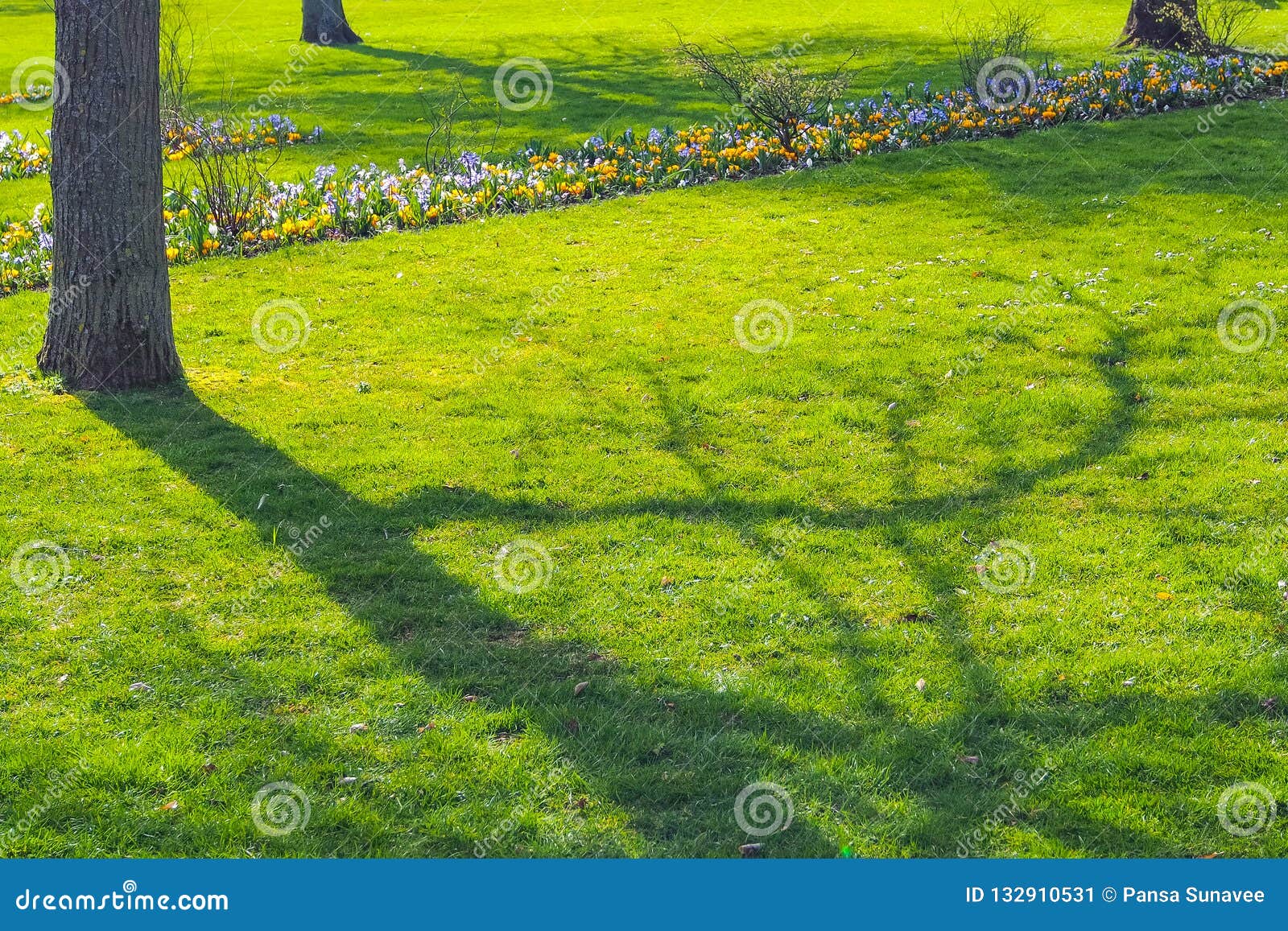 Tree shadow on green grass stock image. Image of nature - 132910531