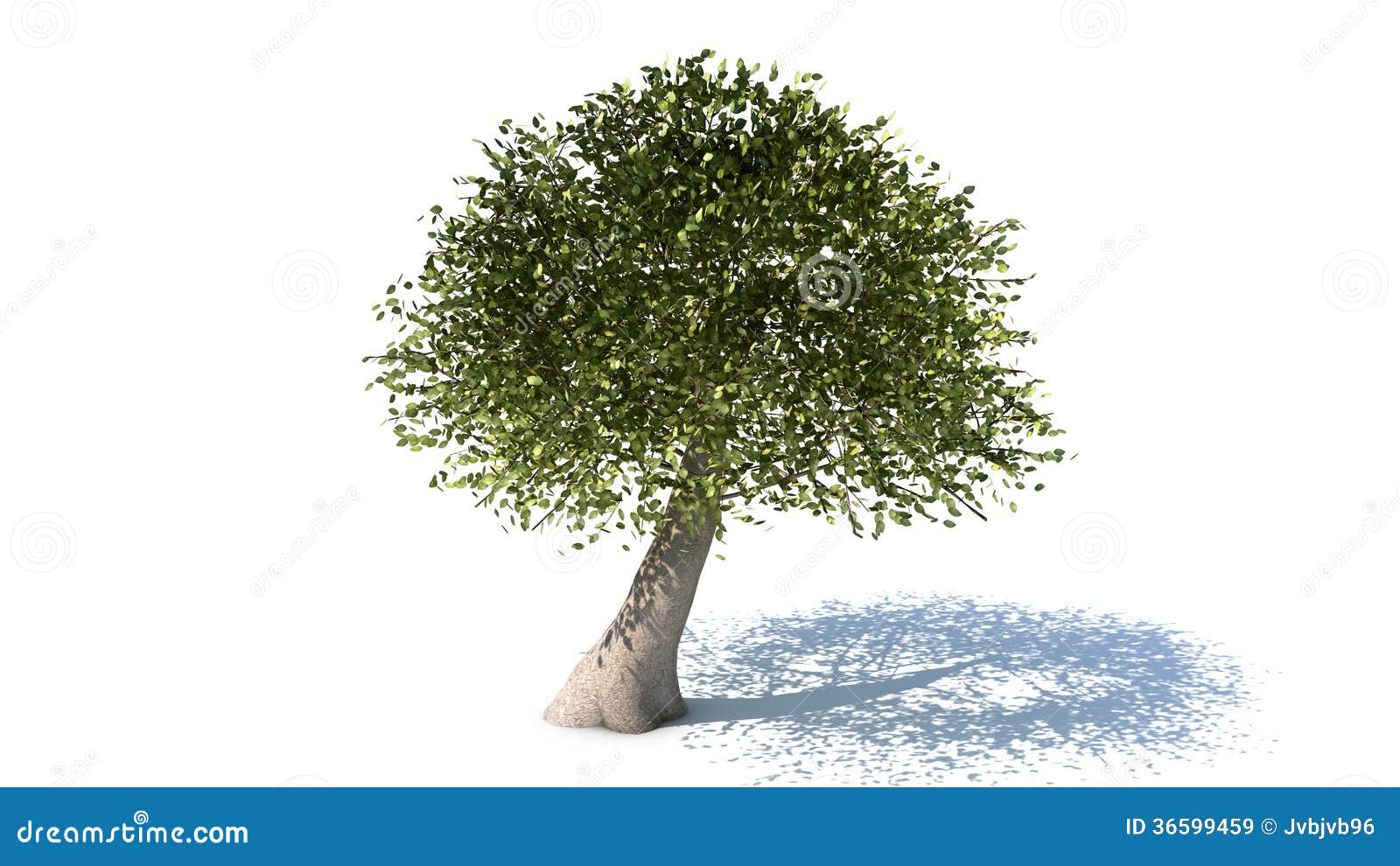 Tree with shadow stock image. Image of flower, trunk Tree with shadow stock image. Image of flower, trunk