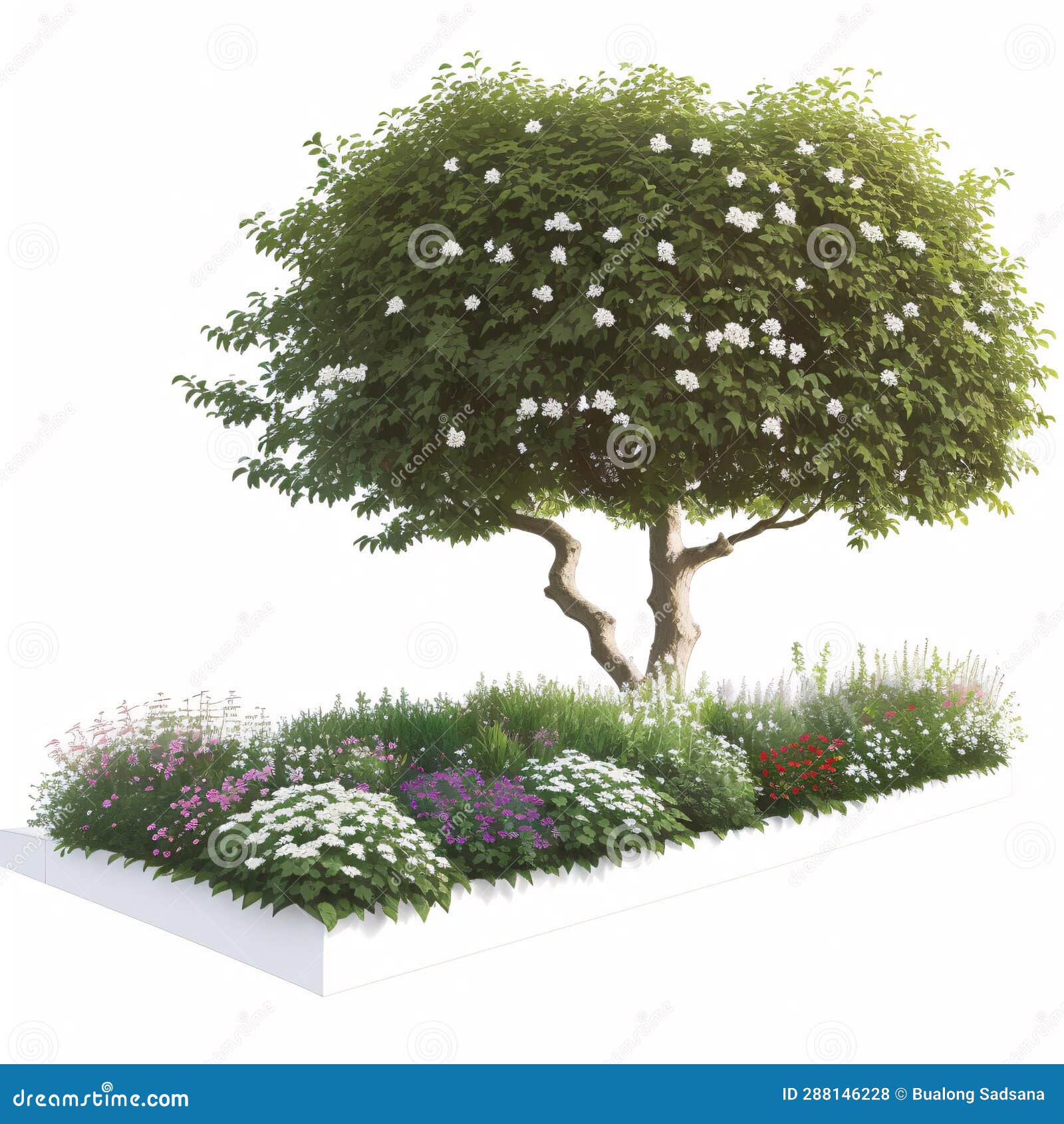 tree side view for landscape and architecture drawing, s for environment and garden, and painting bota