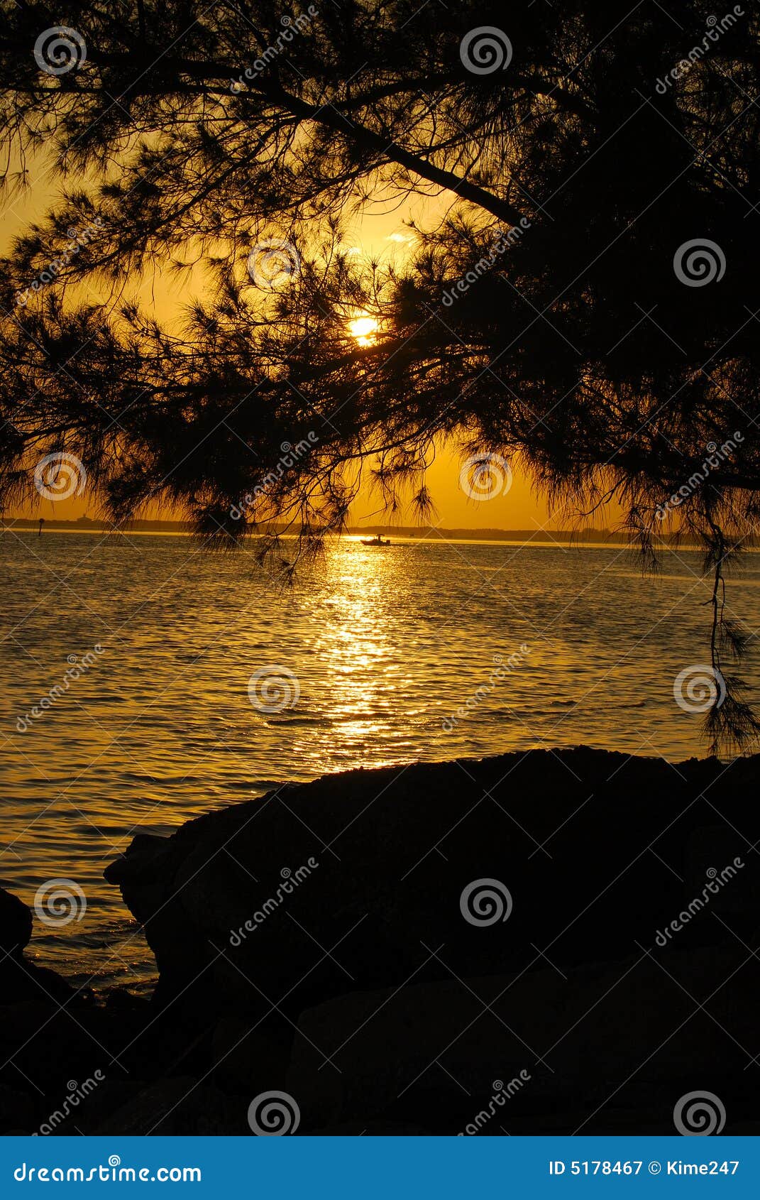 Tree silhouetted by sunset stock image. Image of boat - 5178467