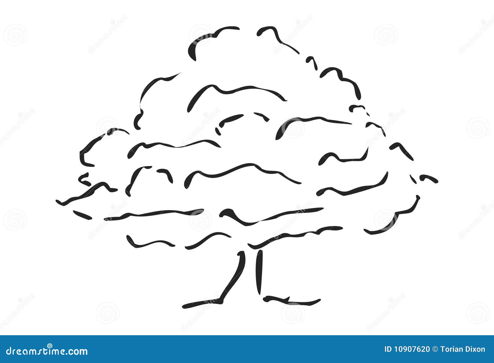 Tree Sketch Stock Vector Illustration Of Foliage Black 10907620 Fast color sketch of a tree in spring. dreamstime com
