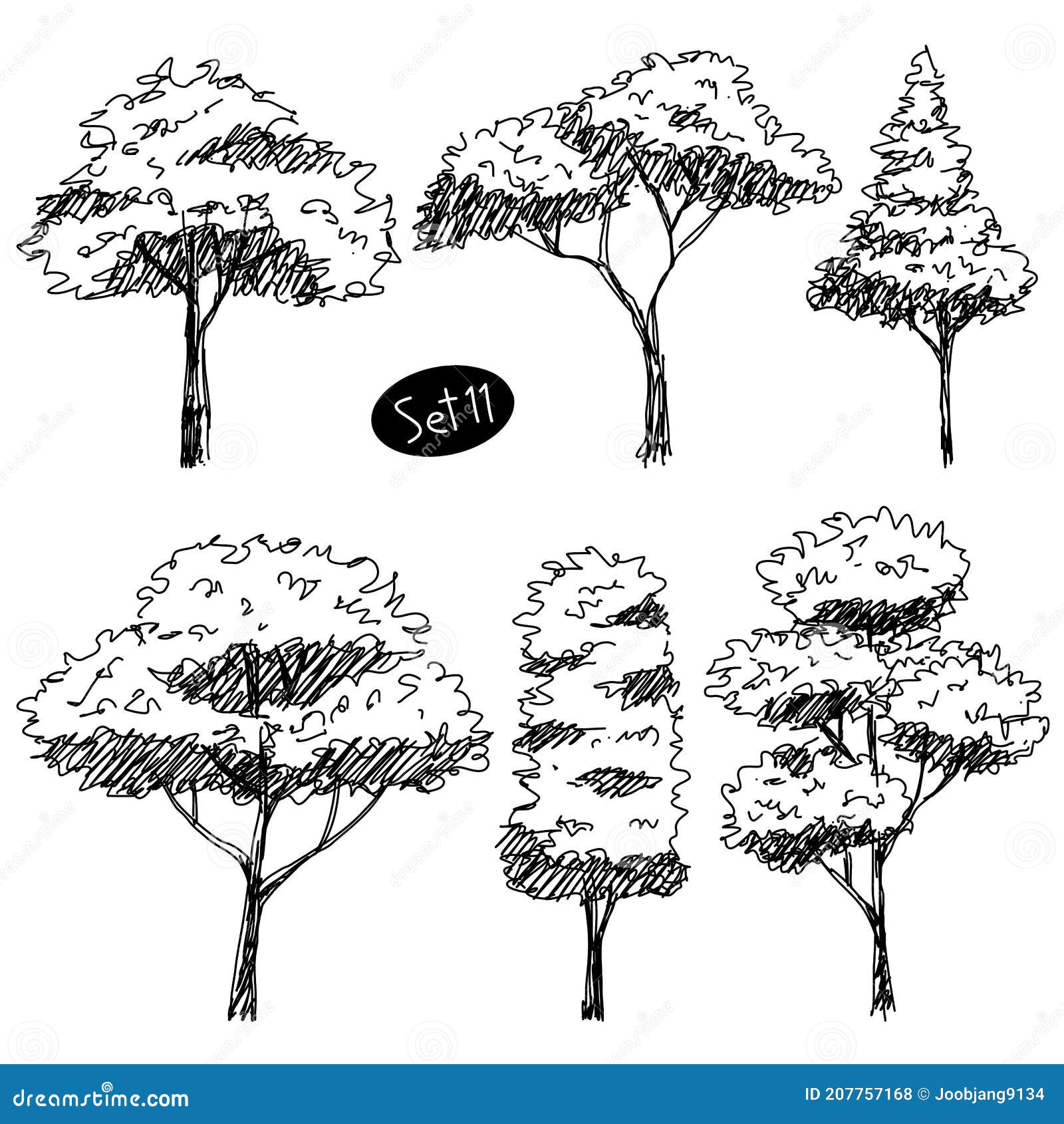 Handdrawn sketch of trees Landscaping Three deciduous garden woody  plants front view and top view Black and white graphics Isolated on a  white ba Stock Vector Image  Art  Alamy