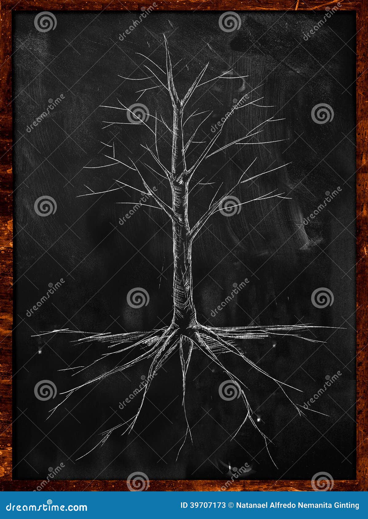 Tree without leaves Vectors & Illustrations for Free Download | Freepik