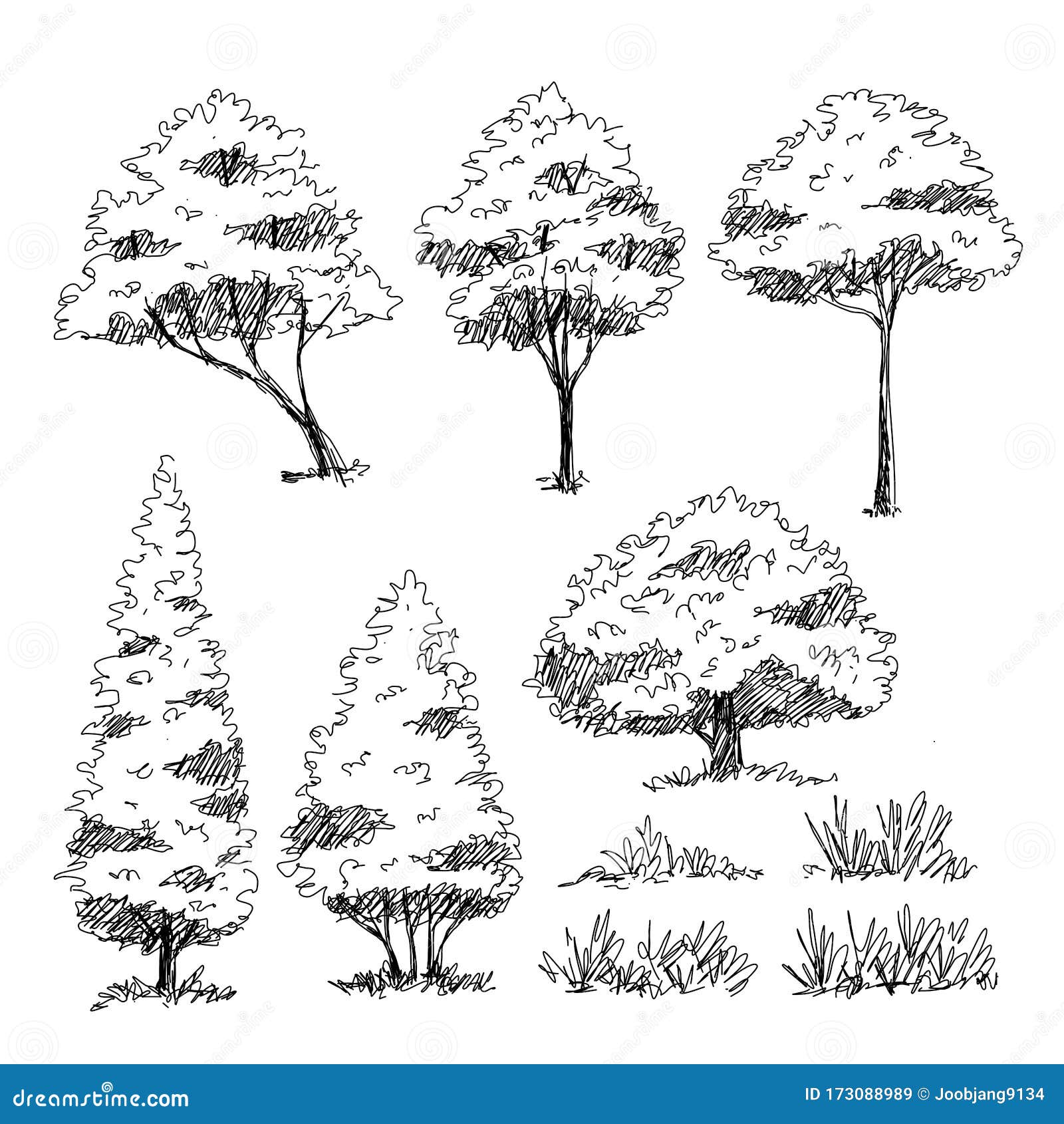 Hand Drawing Tutorial How to Draw a Tree  Land8