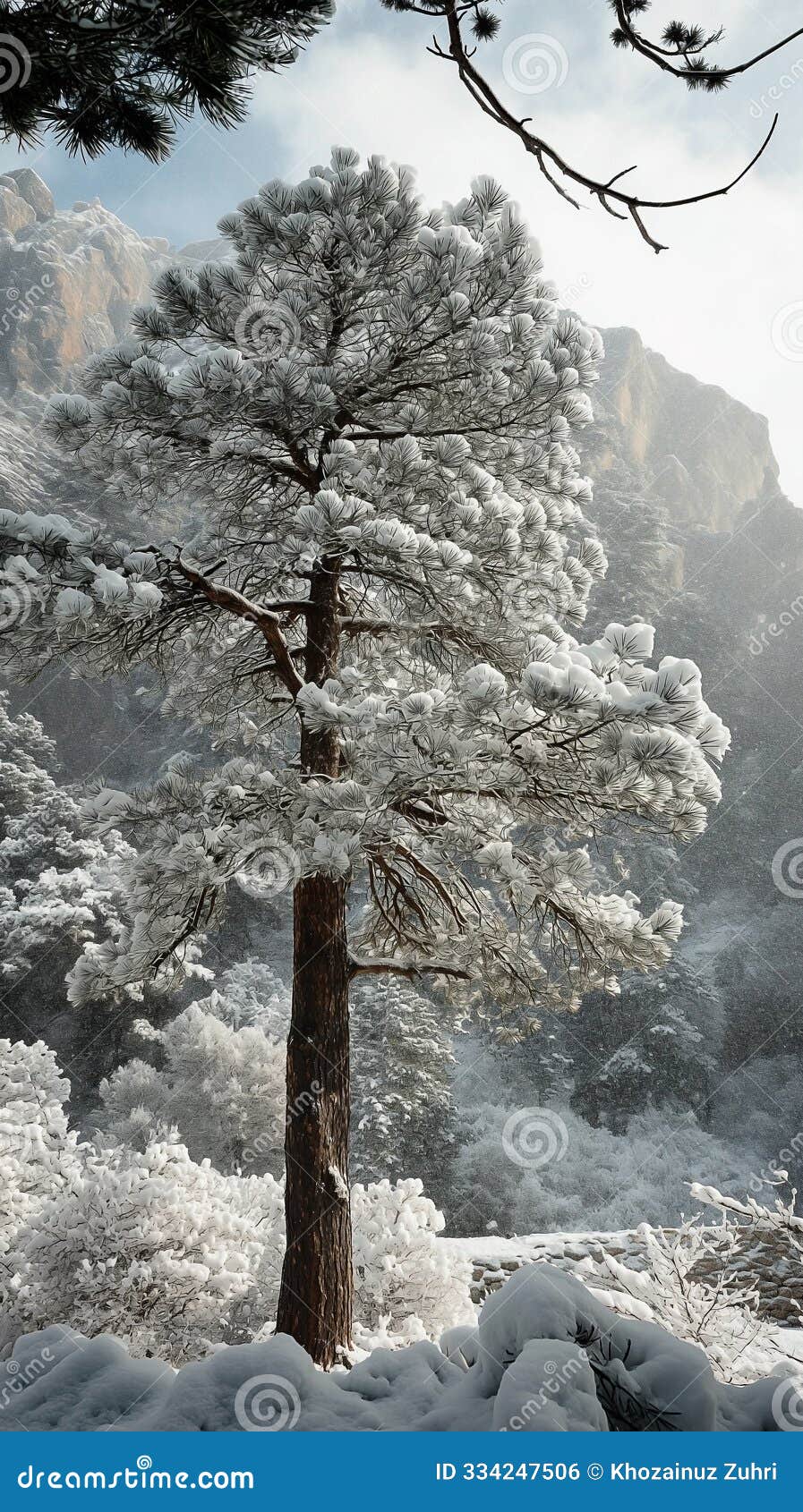 tree in snow on the mountain hills, winter season mountain road covered freeze and cold weather