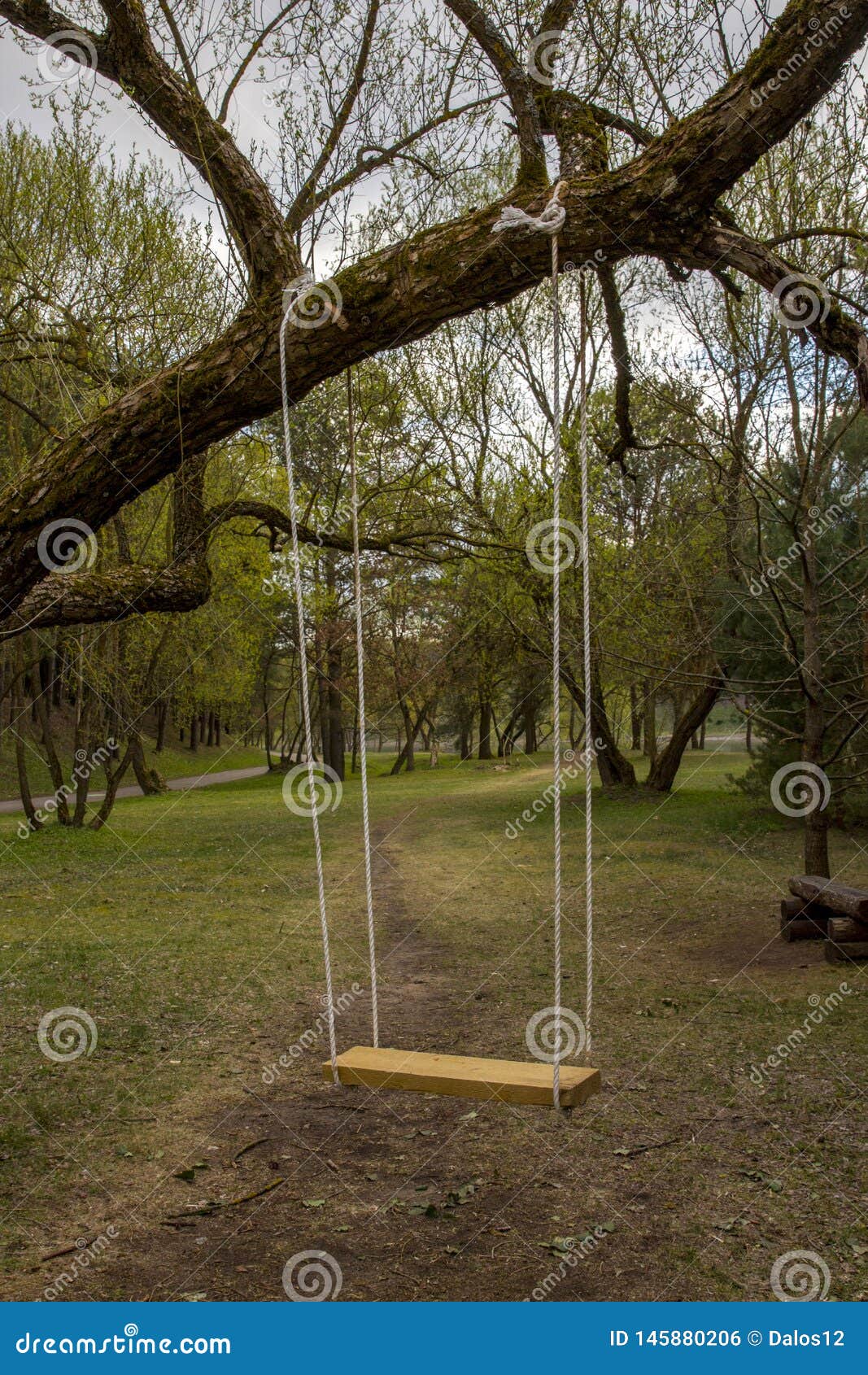 Tree Swings Tree Swing Garden Swings Stock Photo Image Of