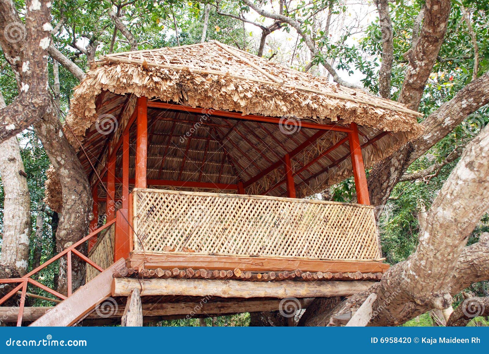 Tree top hut stock photo. Image of holiday - 6958420