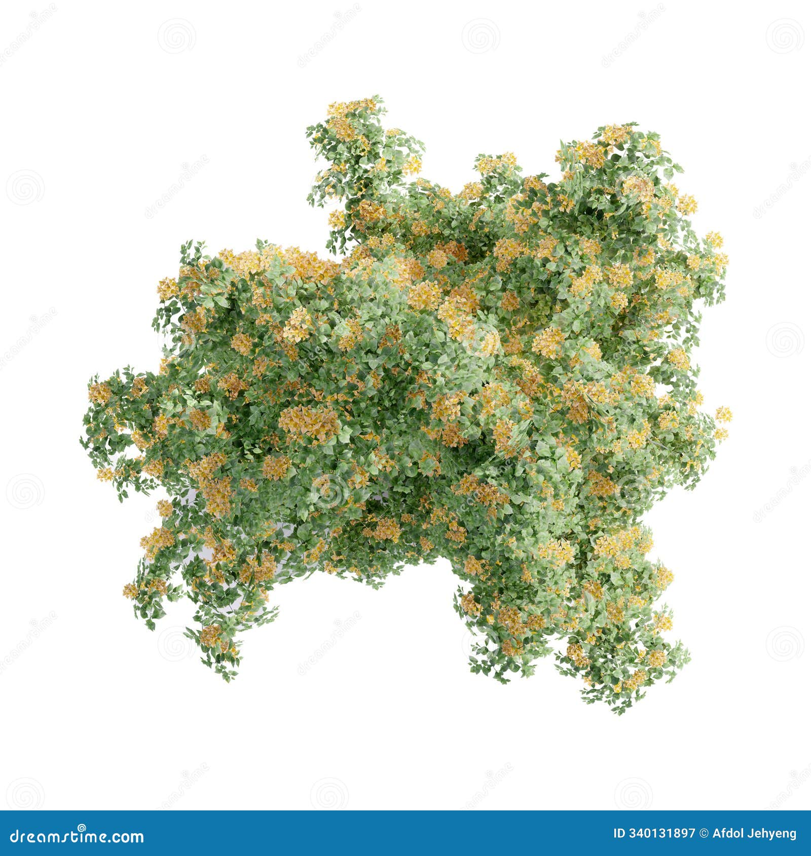 tree top view plant landscape architecture nature garden aerial render