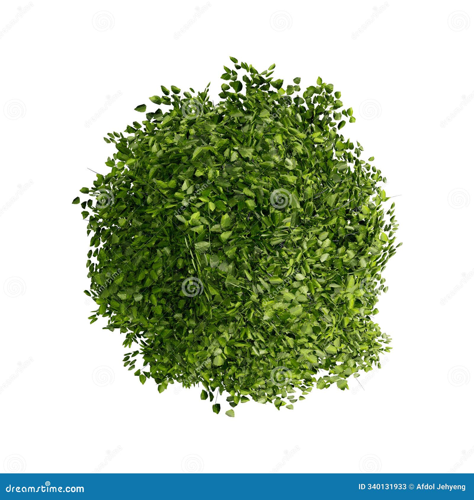 tree top view plant landscape architecture nature garden aerial render