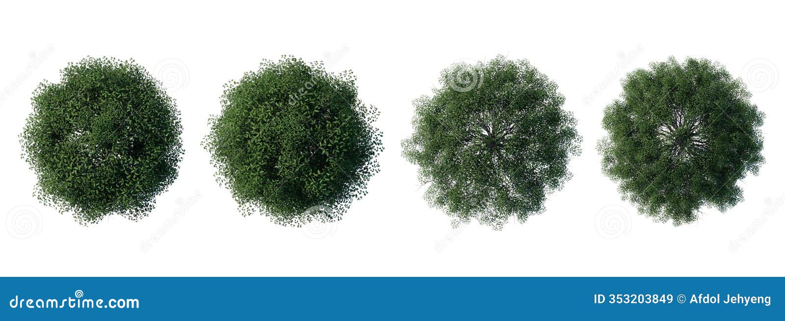 tree top view plant landscape architecture nature garden aerial render