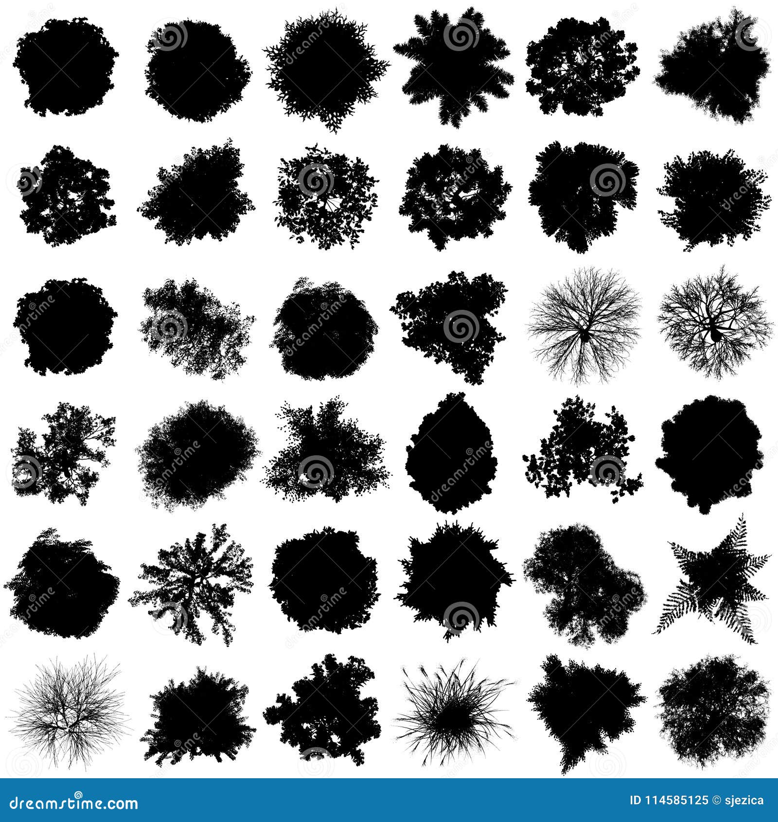 tree top view silhouettes set.  eps 10