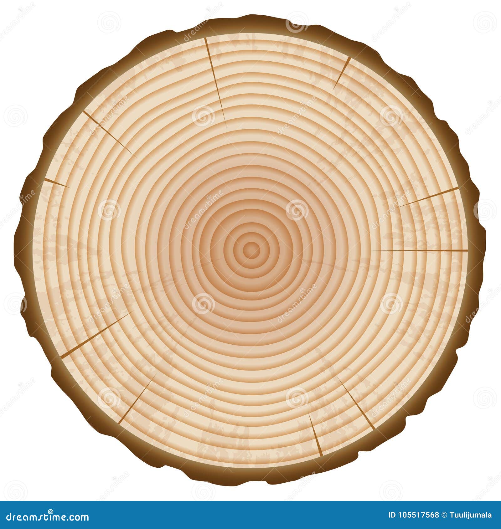 How tree rings help date archaeological sites