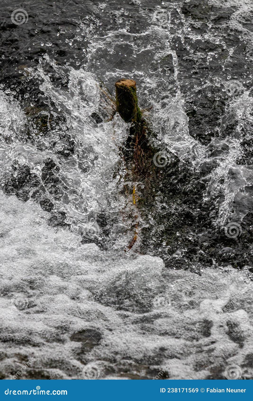 Tree Trunk in Splashing Water Stock Image Image of ocean, stream 238171569