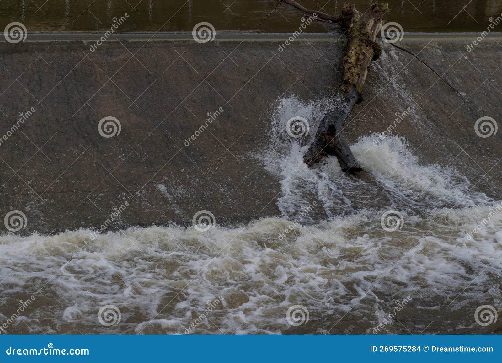 Tree Trunk on a Weir and Water Splashing Over it Stock Photo Image of structure, stuck 269575284