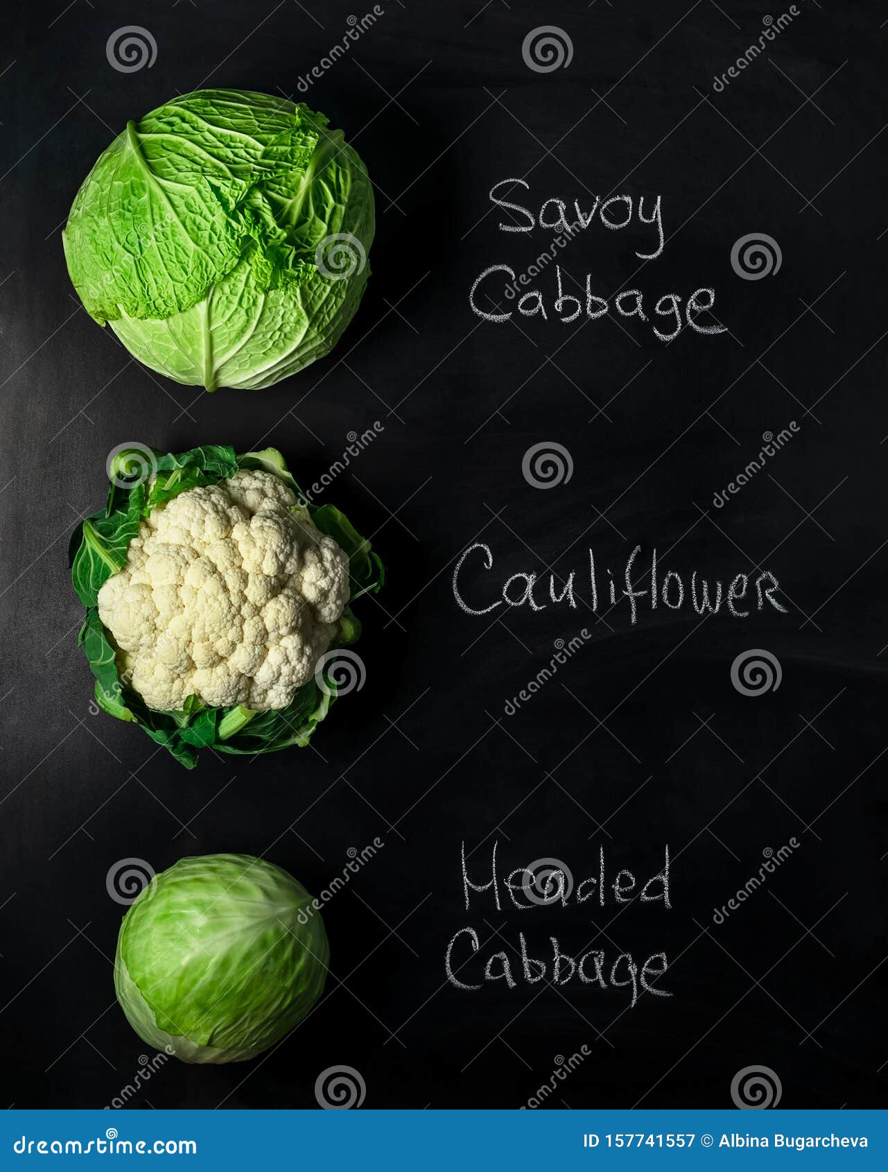 Tree Types of Cabbage Heads on Black Board with Incription Stock Image