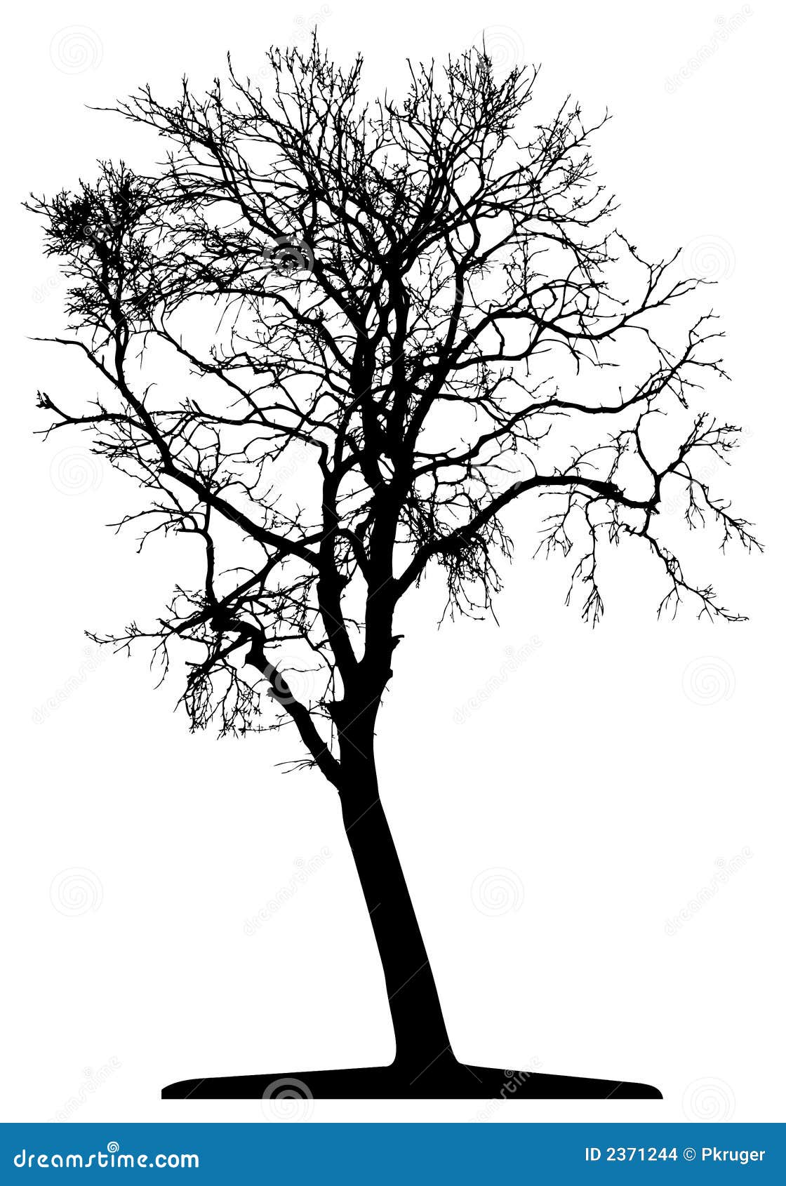 Tree Vector Stock Vector Illustration Of Isolation
