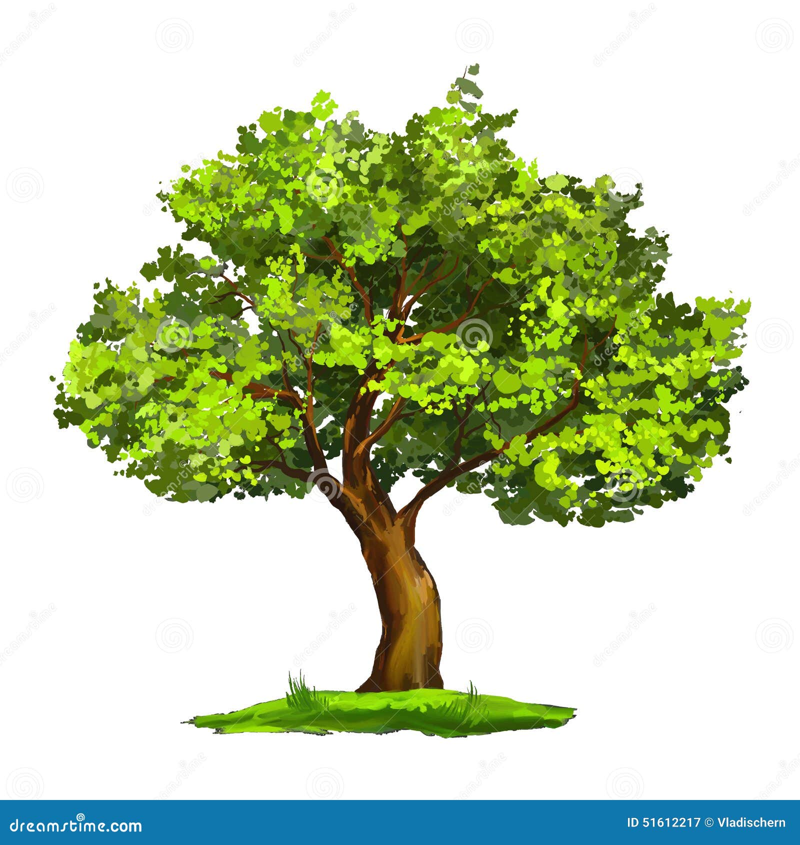 colorare disegni Tree vector illustration hand drawn painted stock