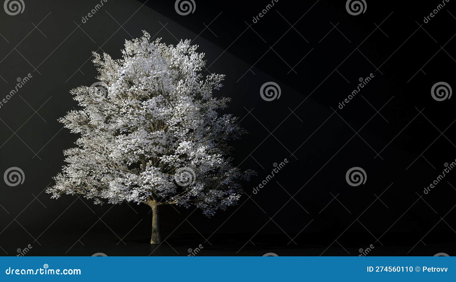Tree with White Leaves on Black Background with Copy Space Stock