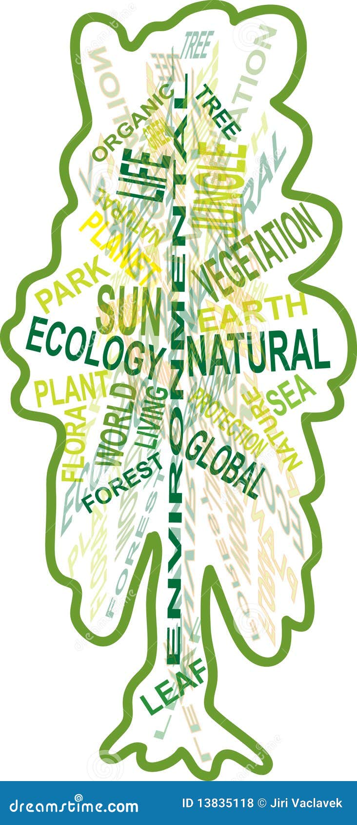 where does the word tree come from