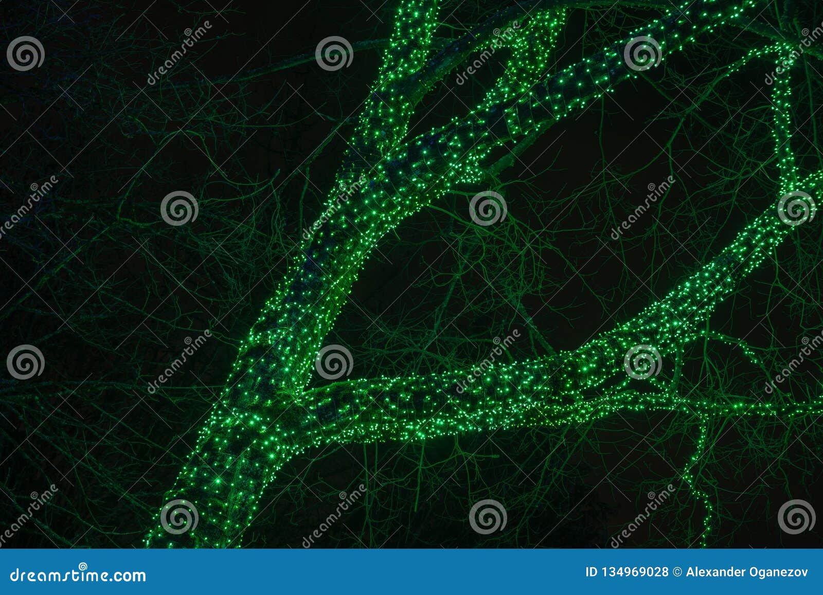 Tree Wrapped with Green Lights Stock Photo Image of christmas