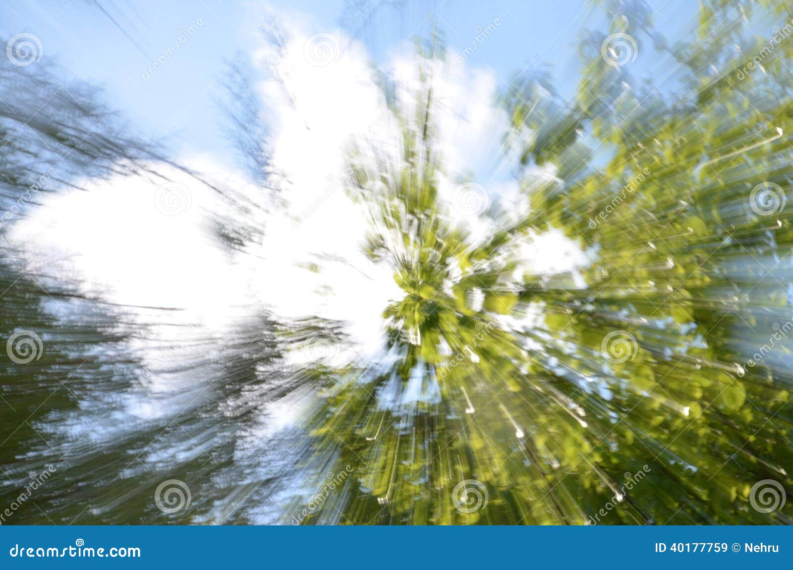 Tree Zoom Background Stock Photo | CartoonDealer.com #40177764