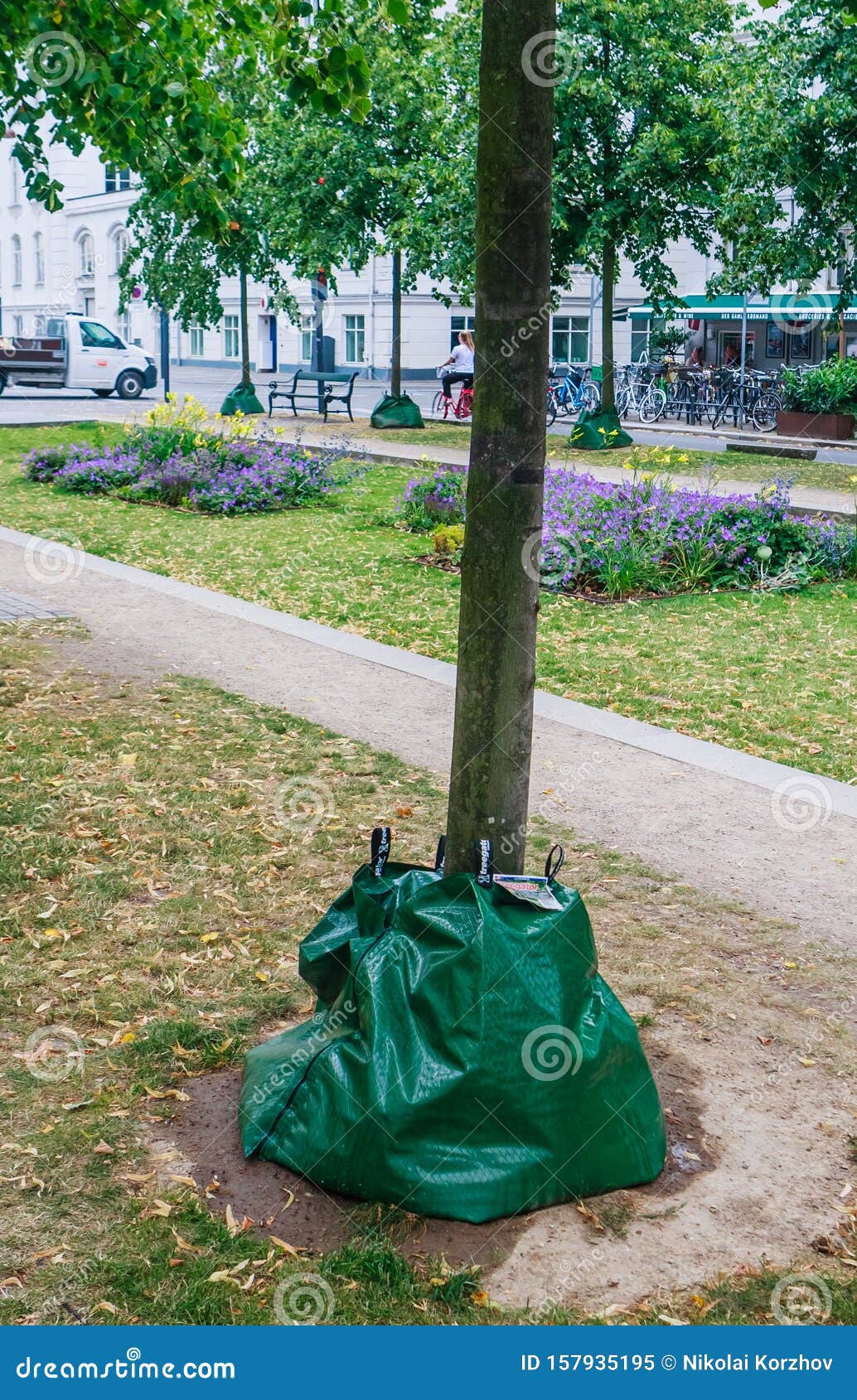 Amazon.com : Treegator Tree Watering Bag - Drip Irrigator - 4 Pack : Patio,  Lawn & Garden