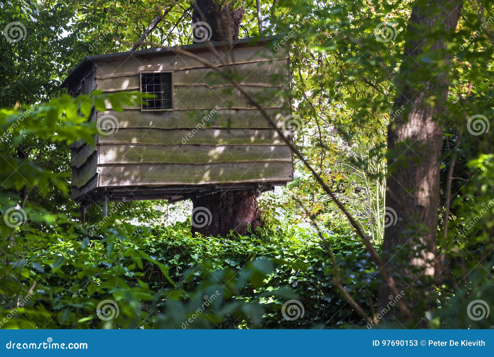 Treehouse In The Woods Stock Image Image Of House Outside 97690153