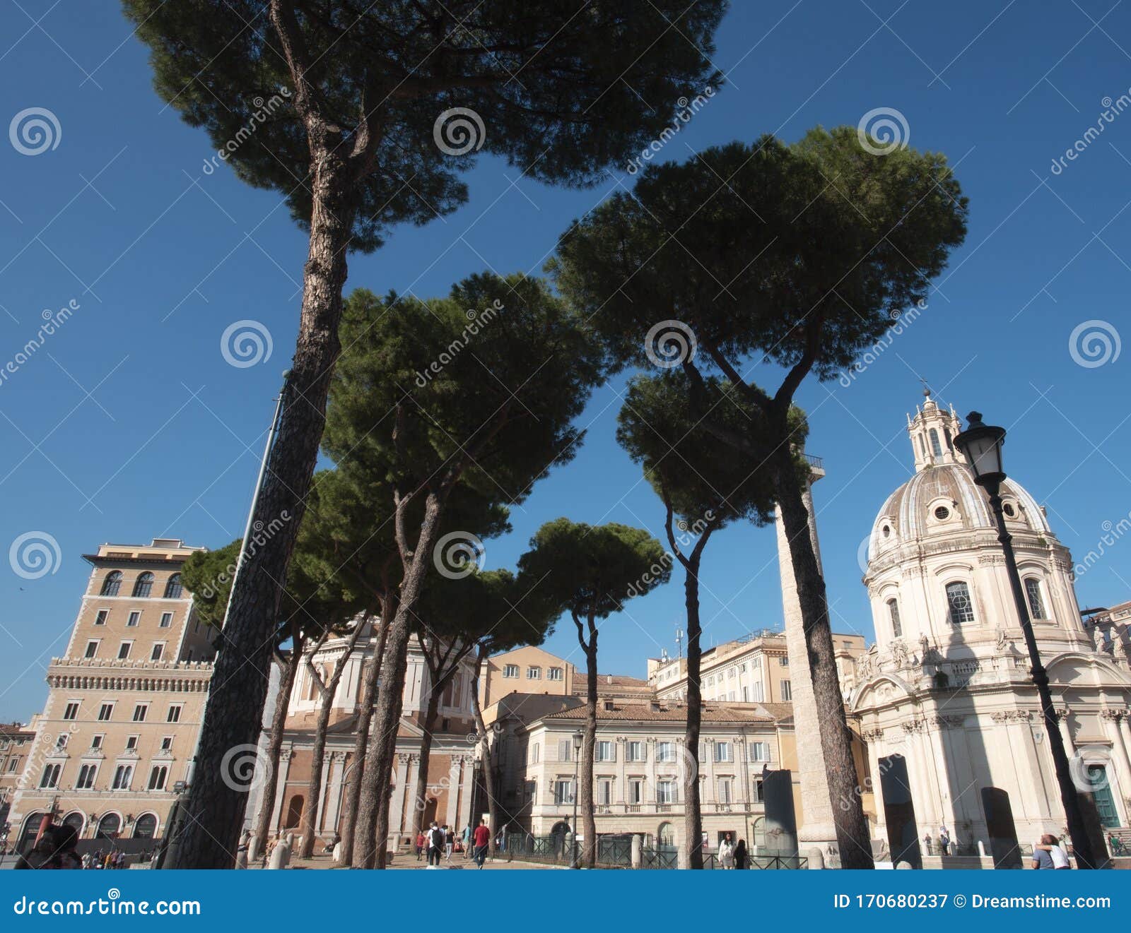 trees along a gravel path in rome leading to piazza venetia