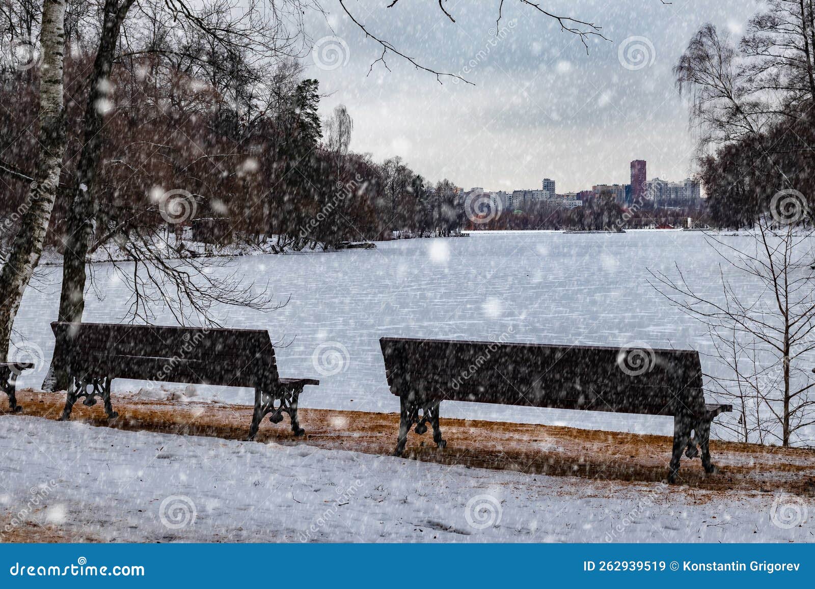Trees And Benches By Frozen Lake In Winter During Snowfall Stock Image